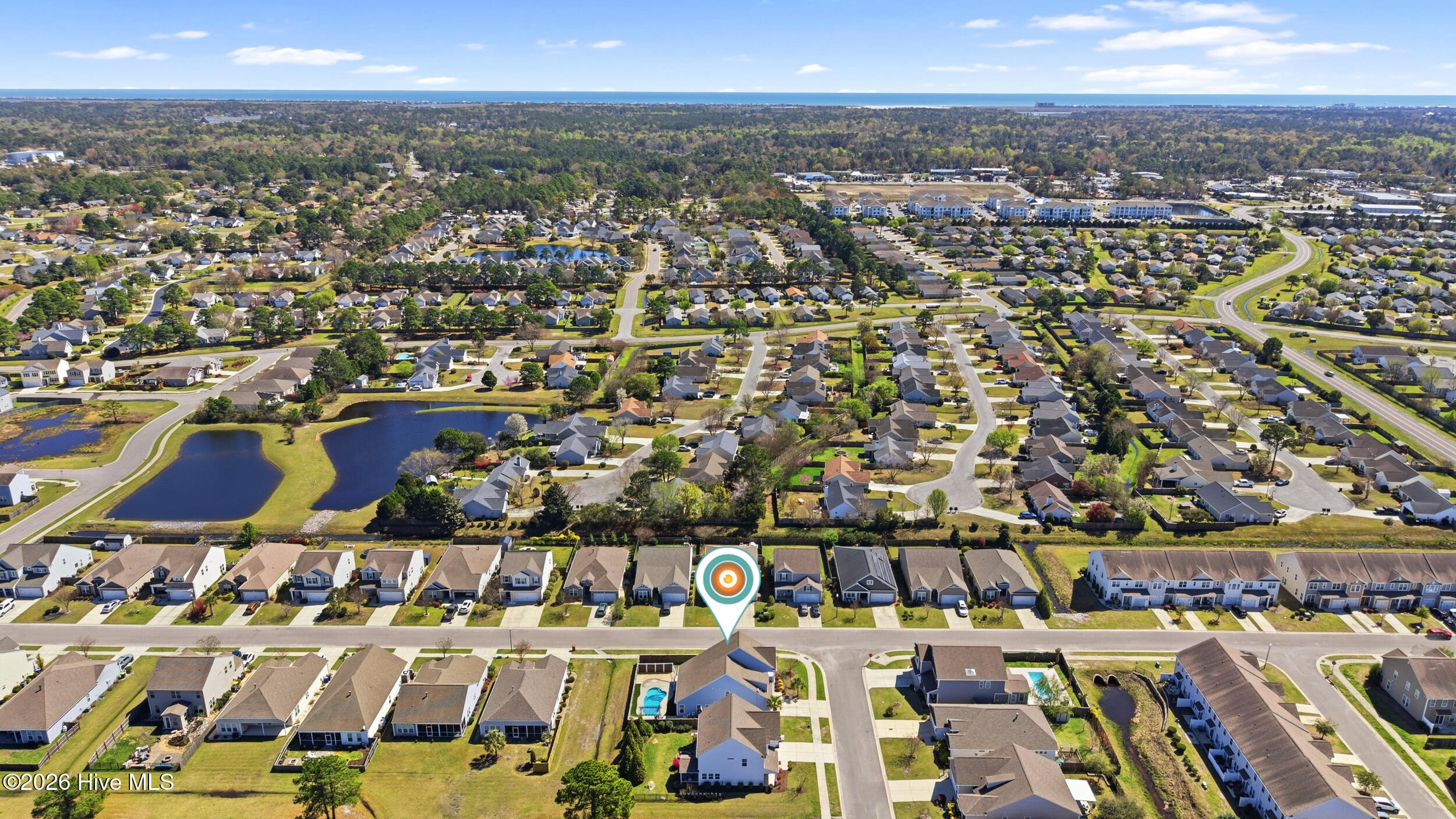 100561556 | Photo 47