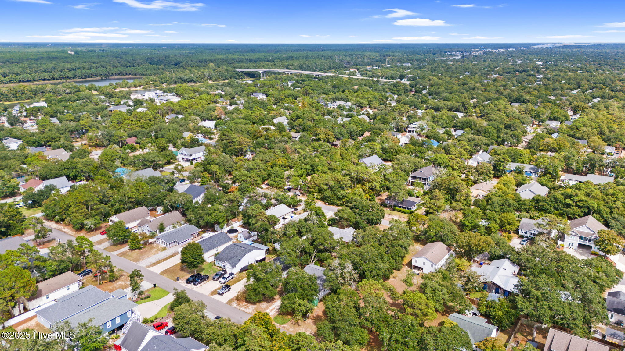 100531343 | Photo 38