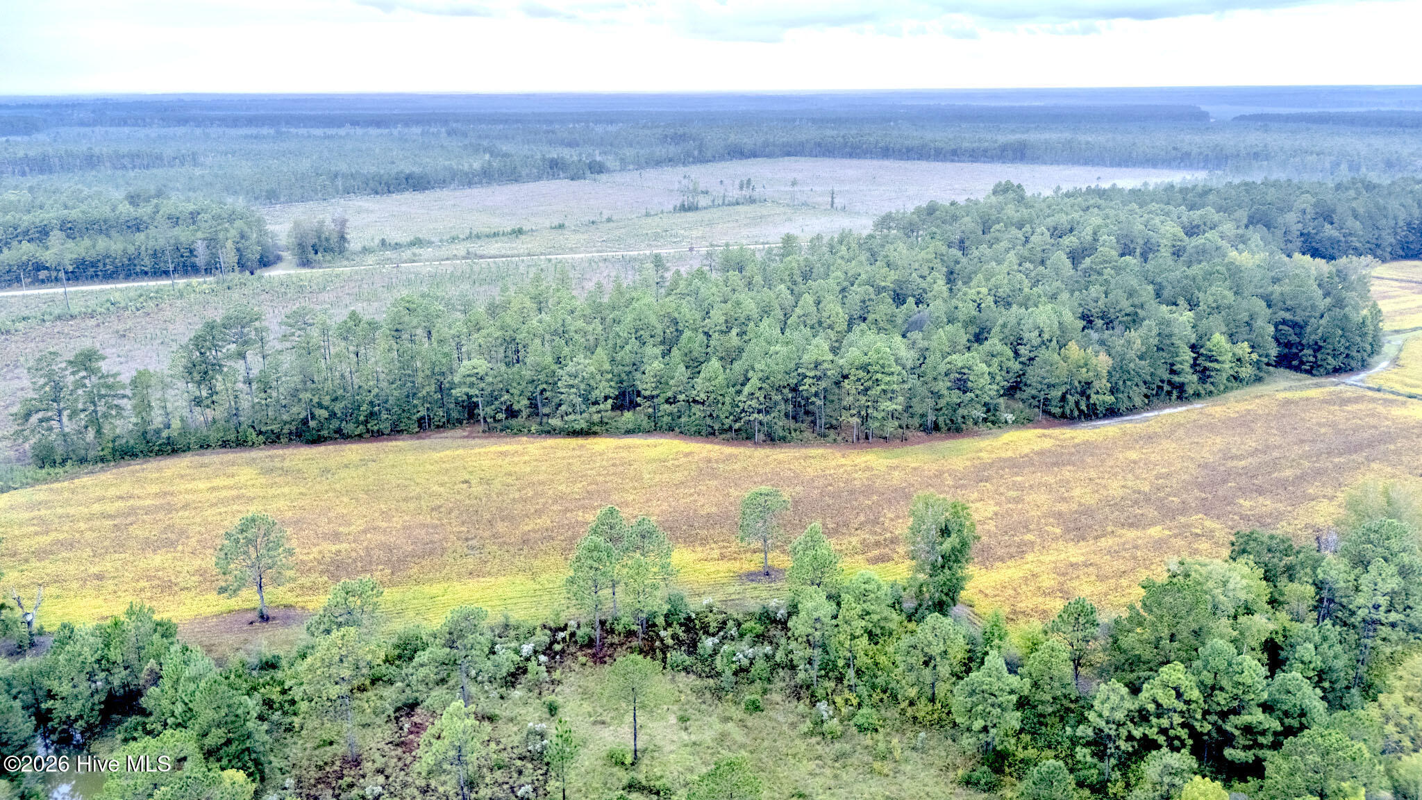 10.57 Ac Egypt Road NW, Ash, NC, 28420