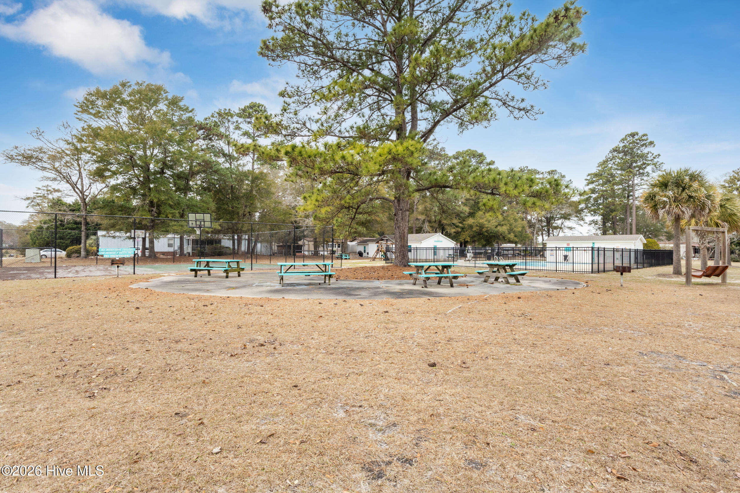 100557090 | Photo 30