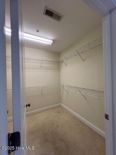 100543457 | Photo 32