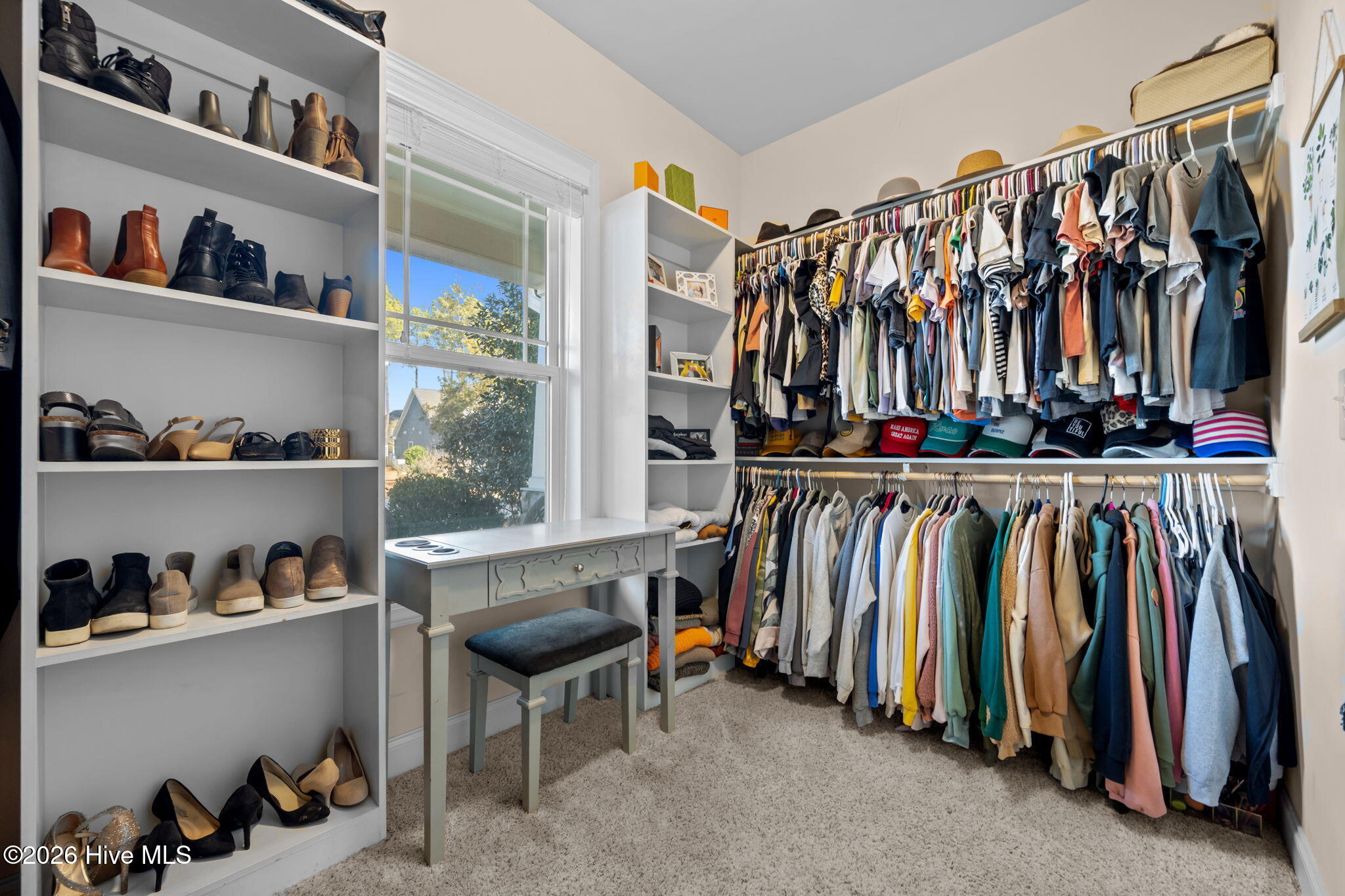 100556667 | Photo 29