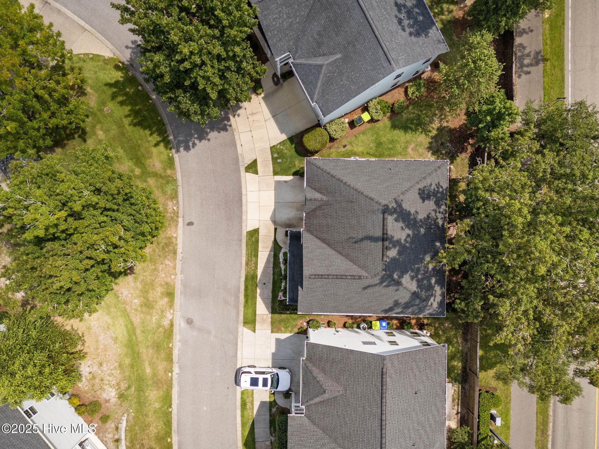 100526886 | Photo 50