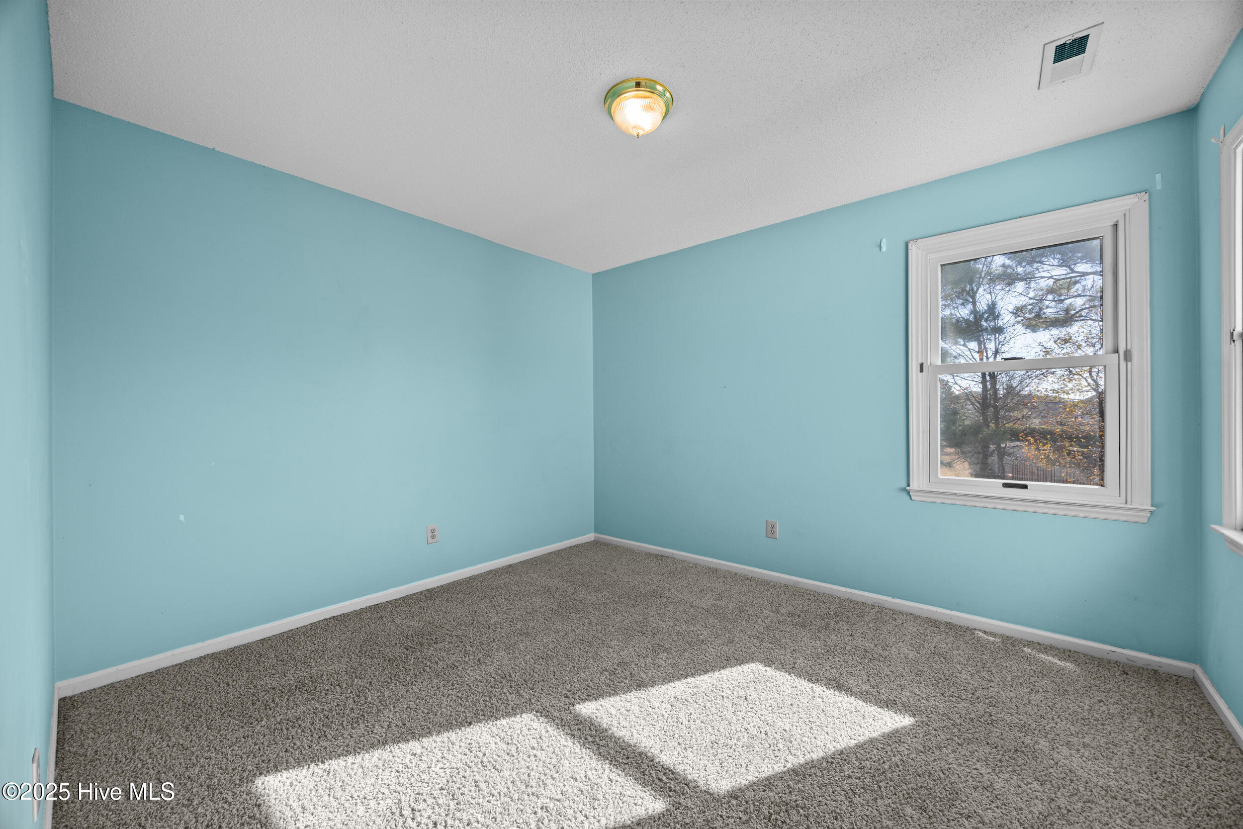 100545439 | Photo 27