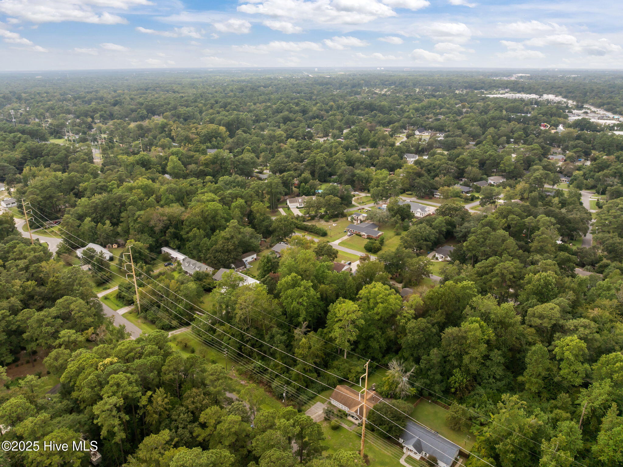 100529798 | Photo 19