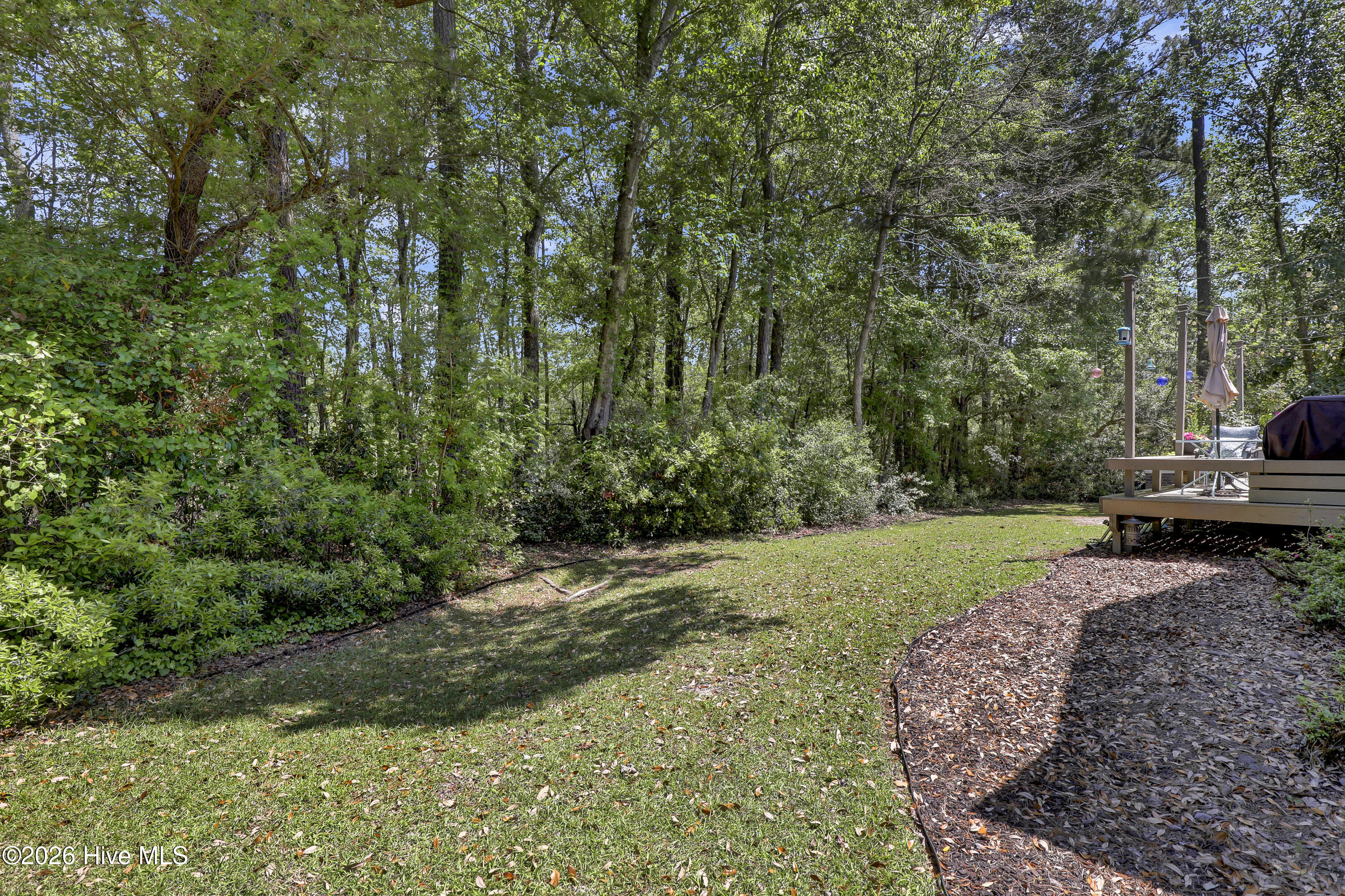 100570699 | Photo 46