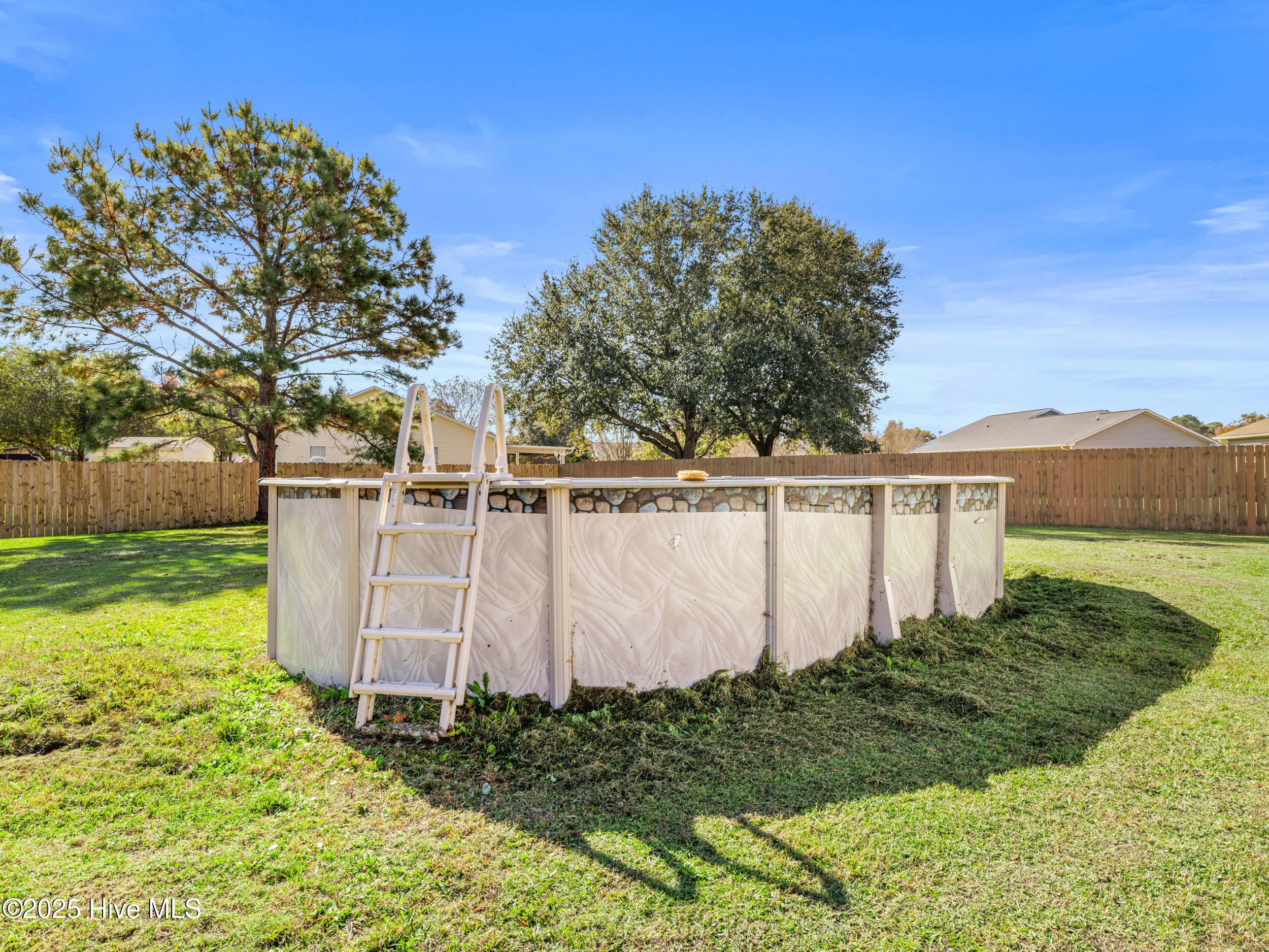 100541472 | Photo 41