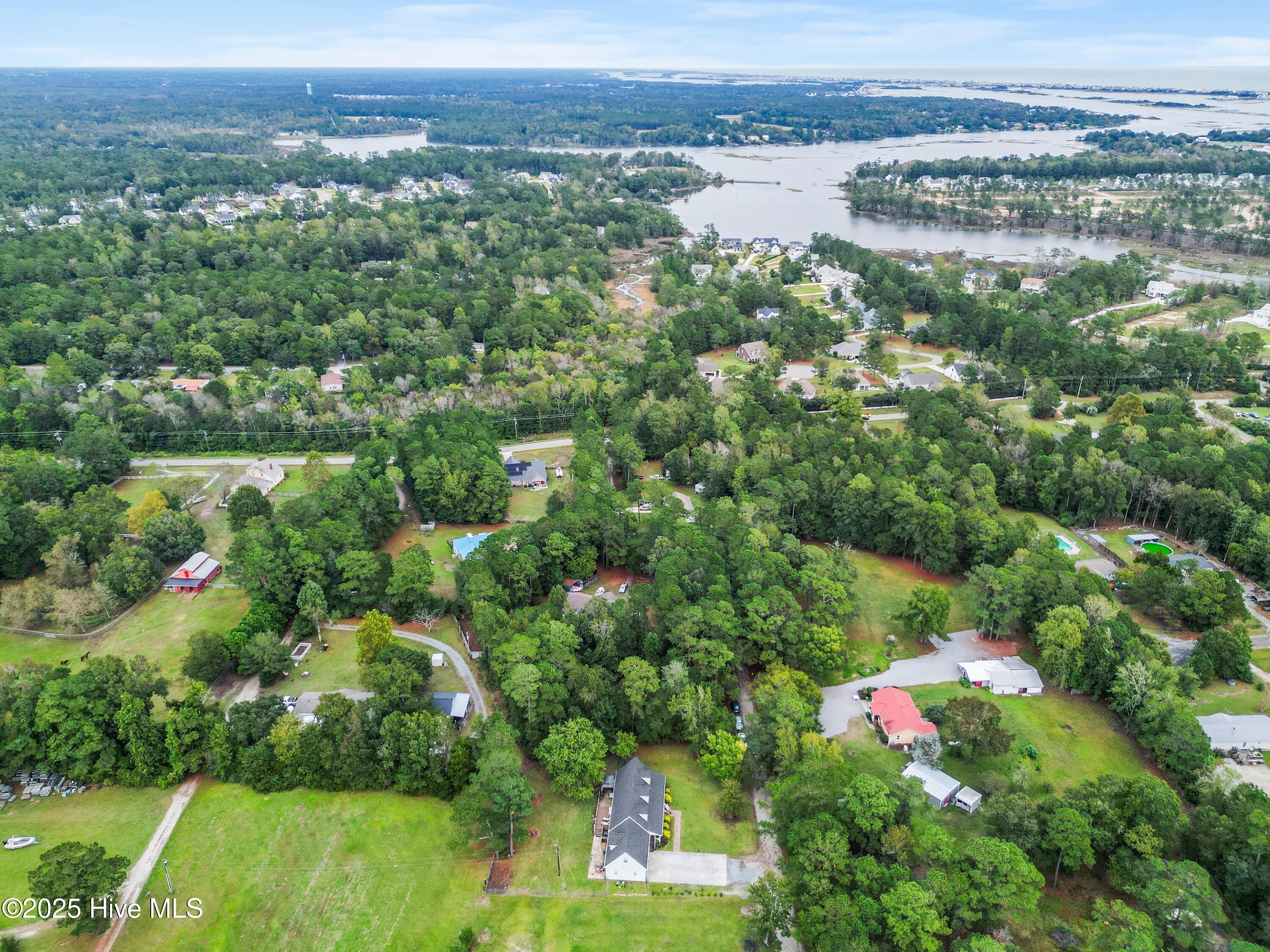 100535134 | Photo 56