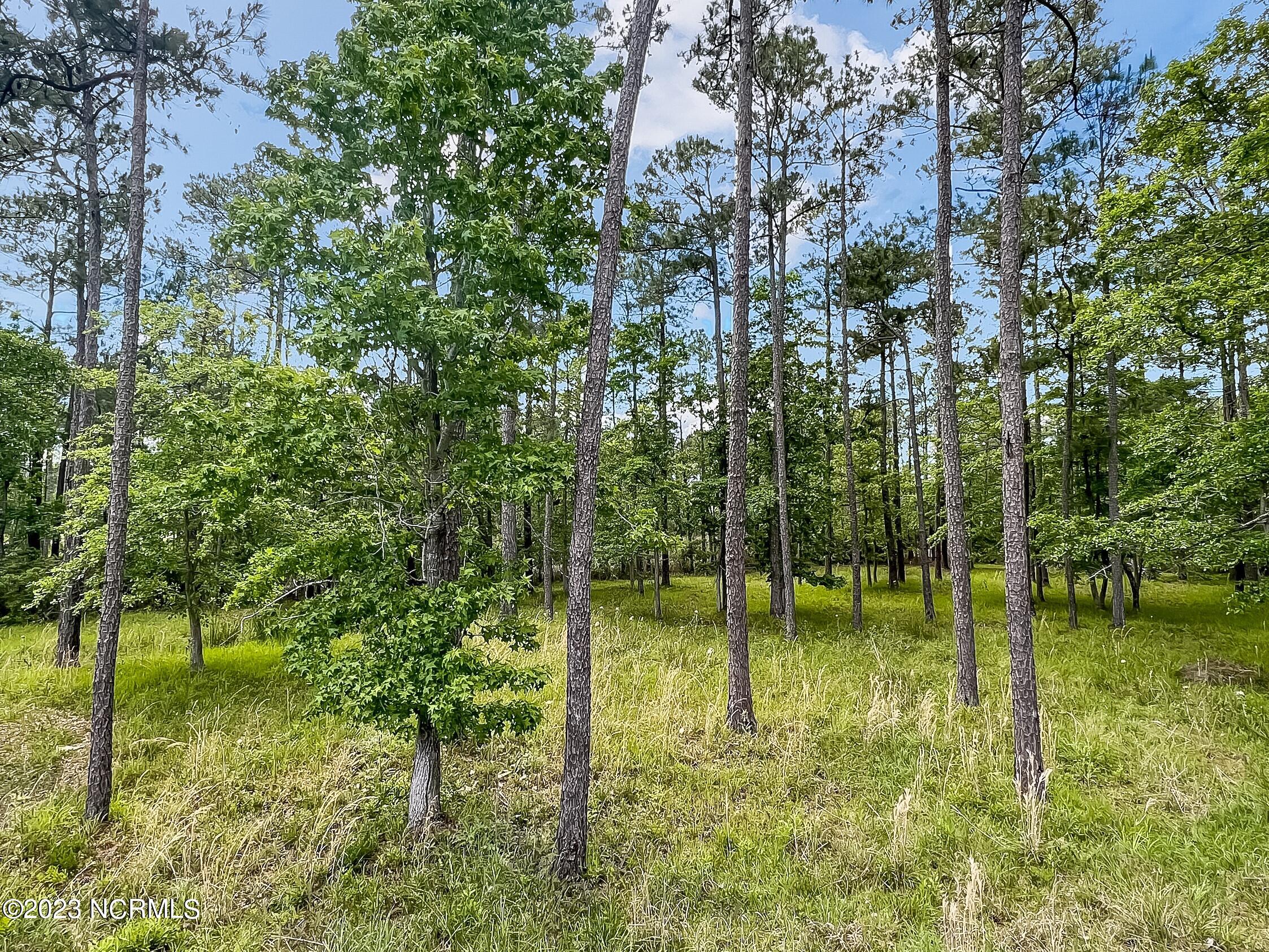 71 Mill Creek Lane, Oriental, NC, 28571