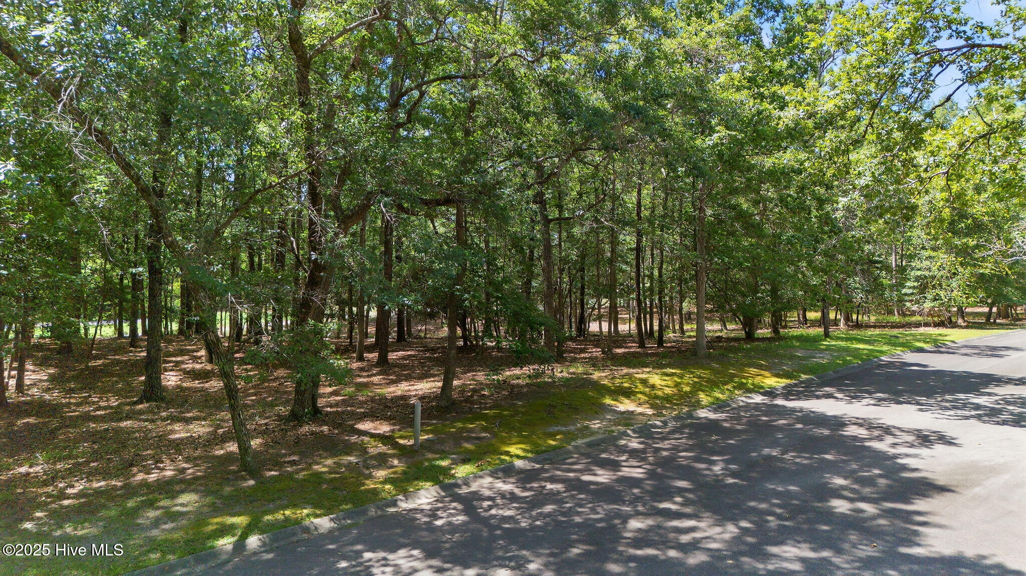 100519533 | Photo 20