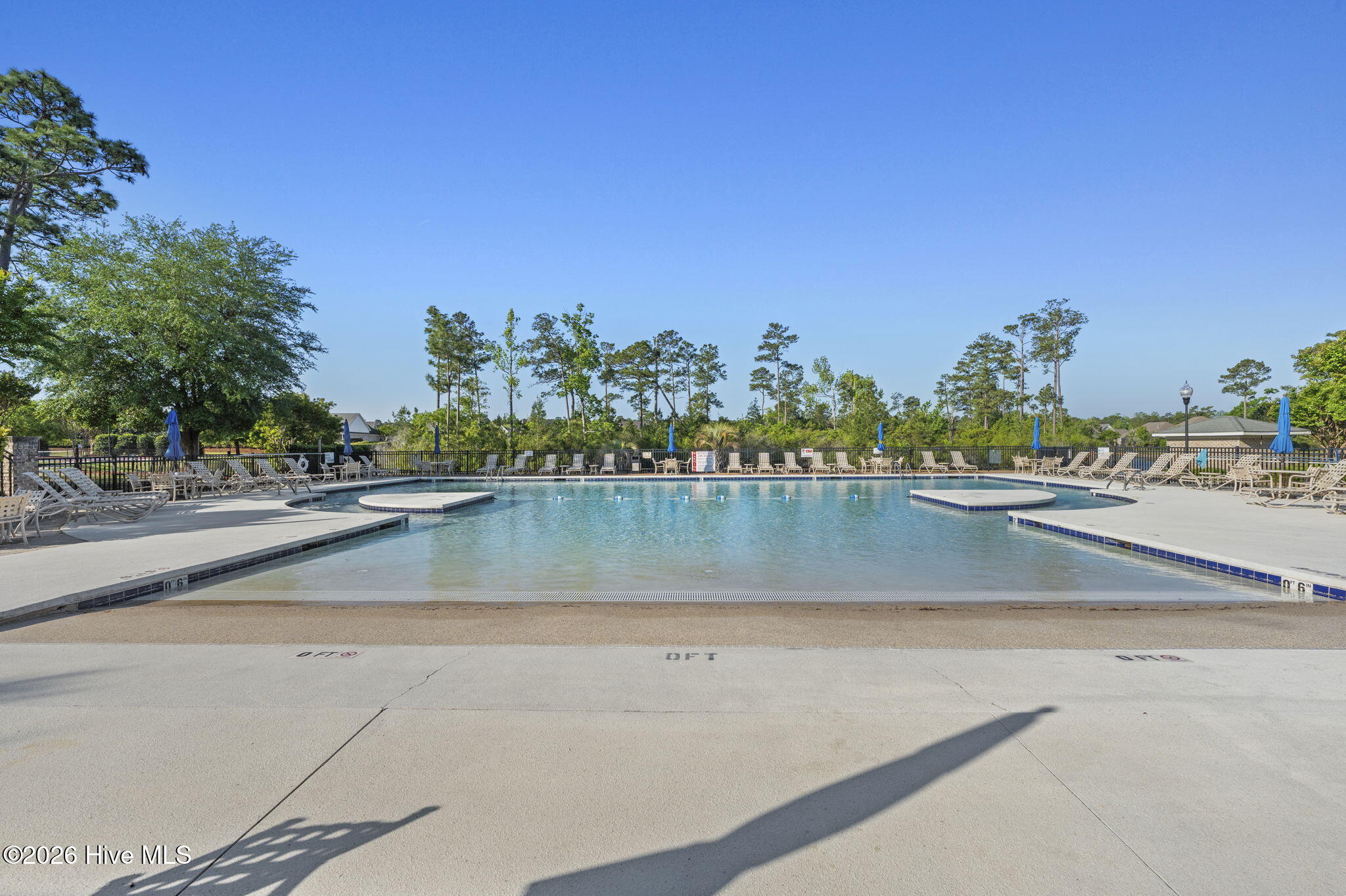 100568183 | Photo 52