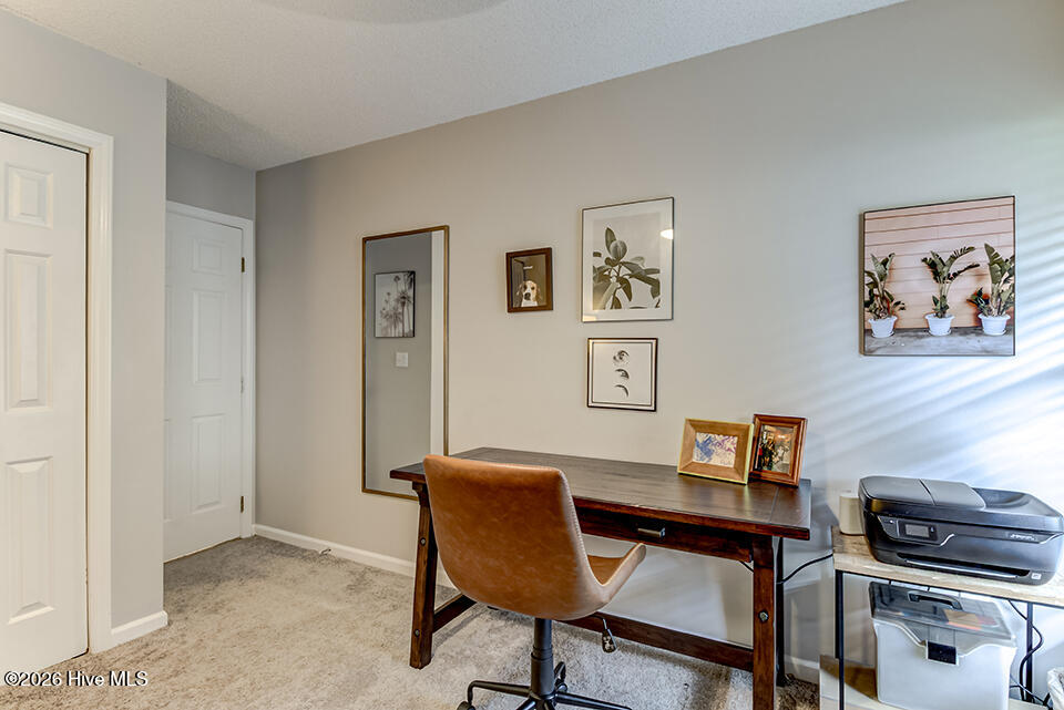 100567381 | Photo 28