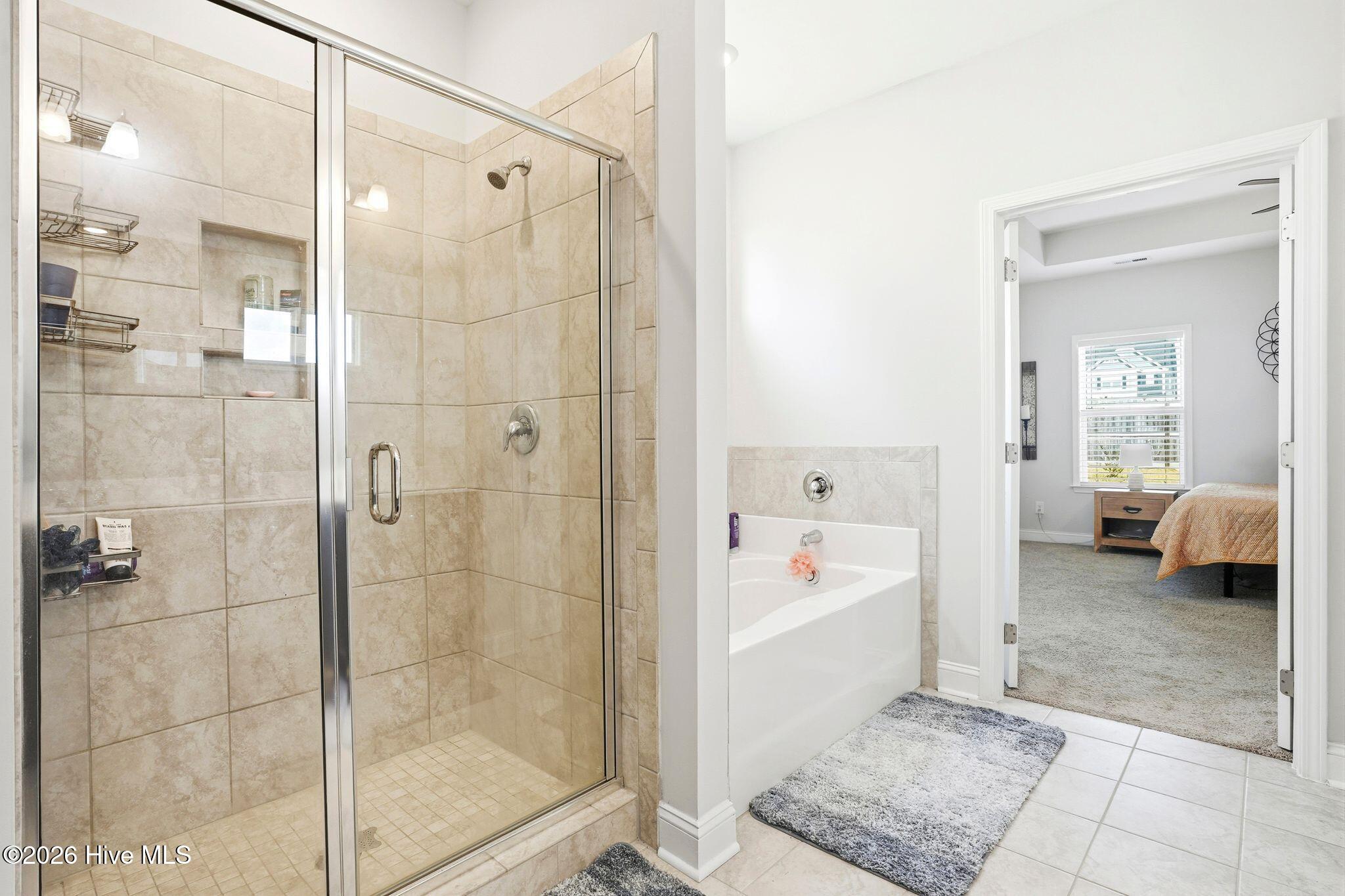 100567646 | Photo 35