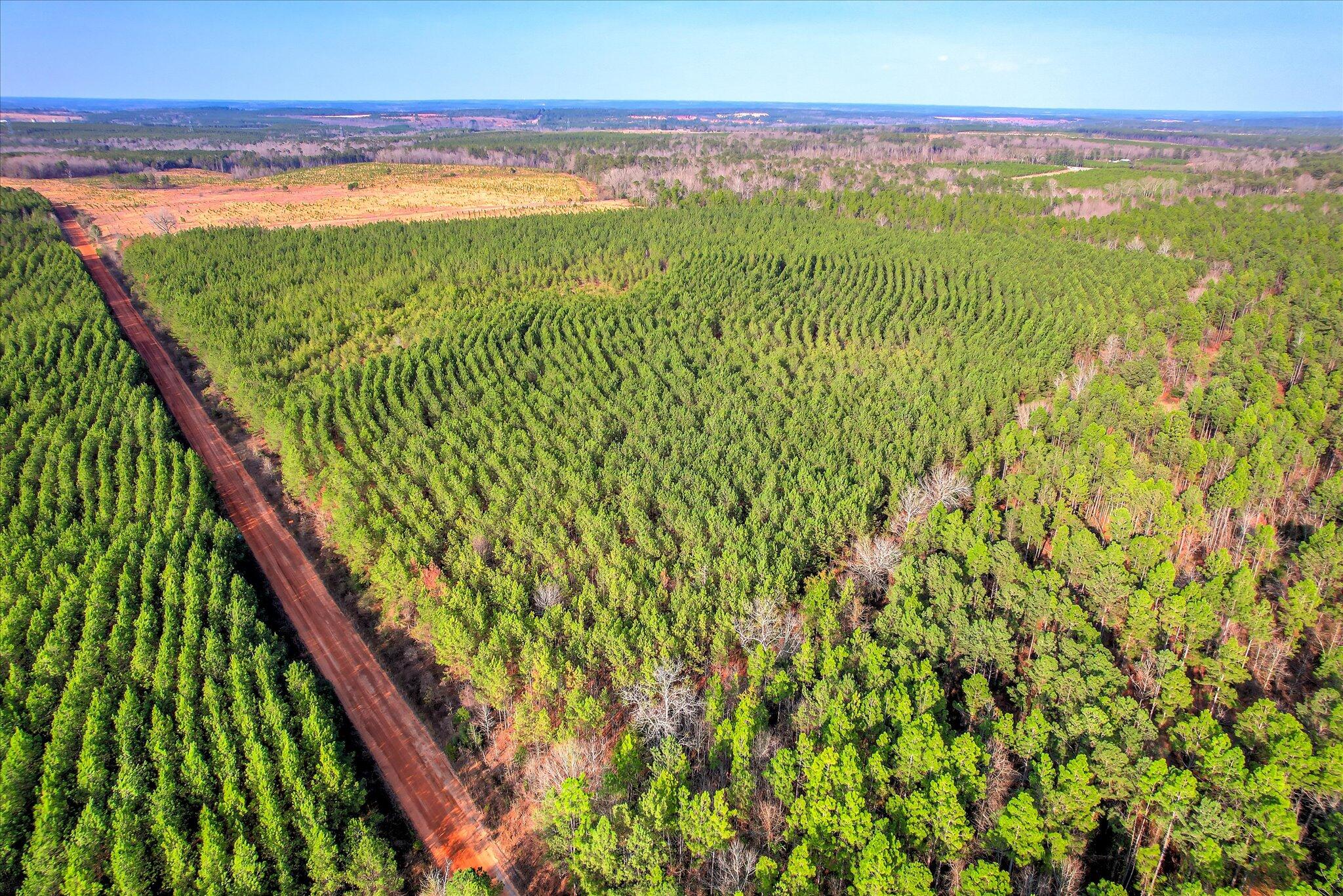 Homes for sale in Wrens, GA | 0 Old Thomson Rd, Wrens, GA 30833 | MLS# 552525