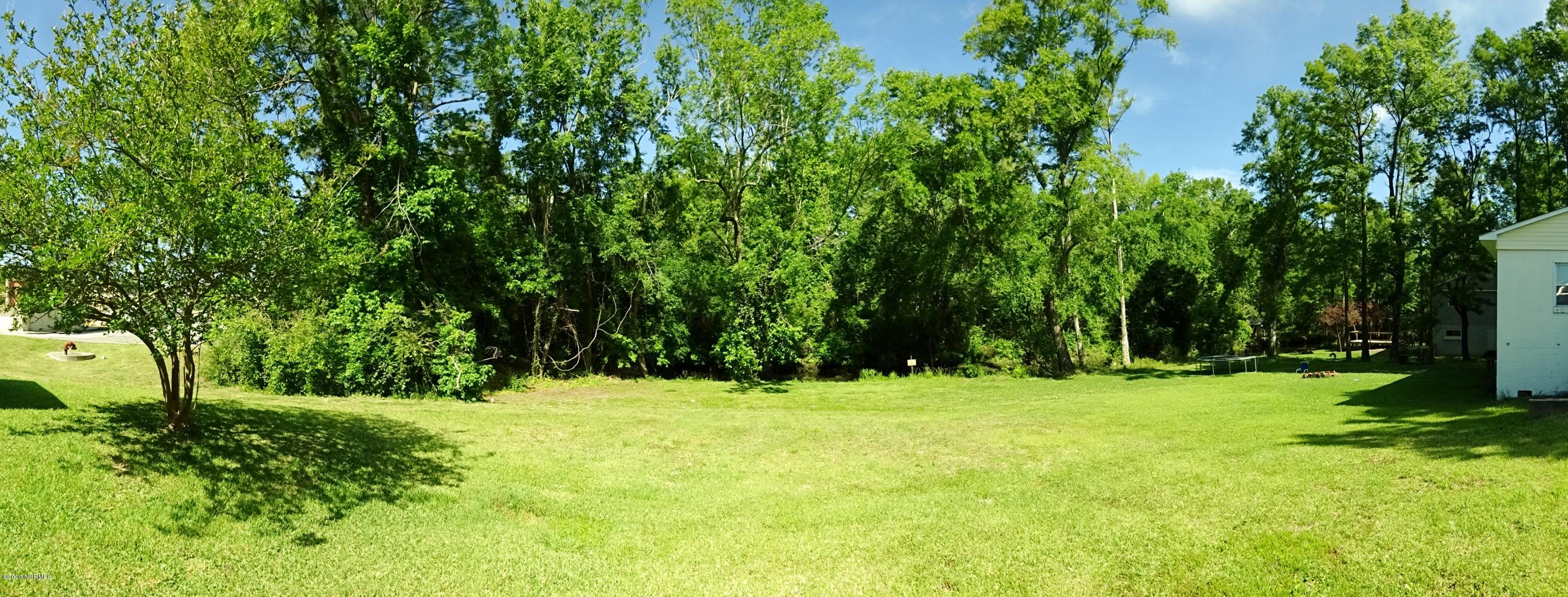 100558565 | Photo 23