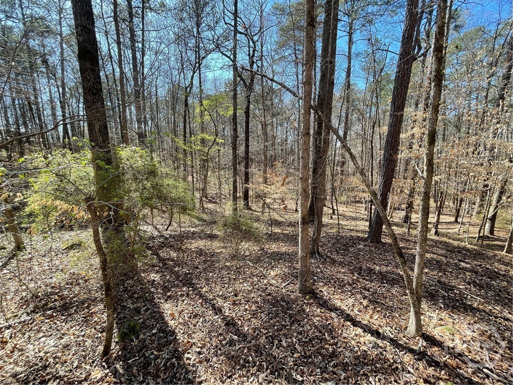 Lot 62 Warbler Lane, Monticello, GA, 31064