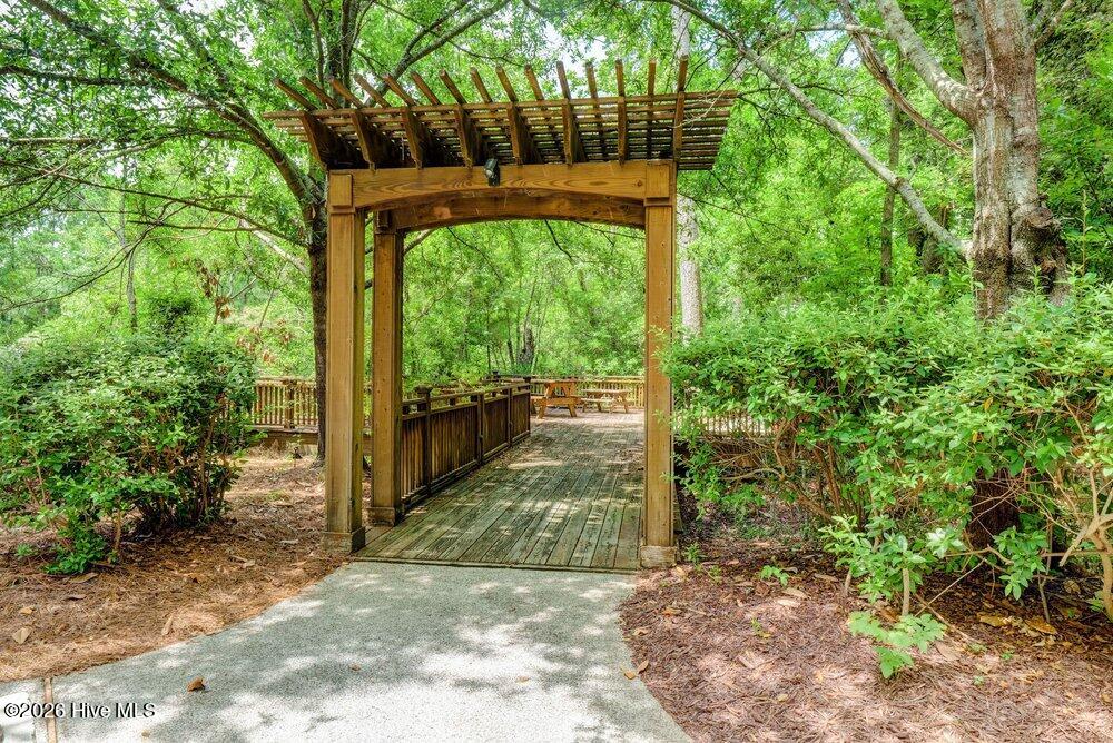 100563966 | Photo 78