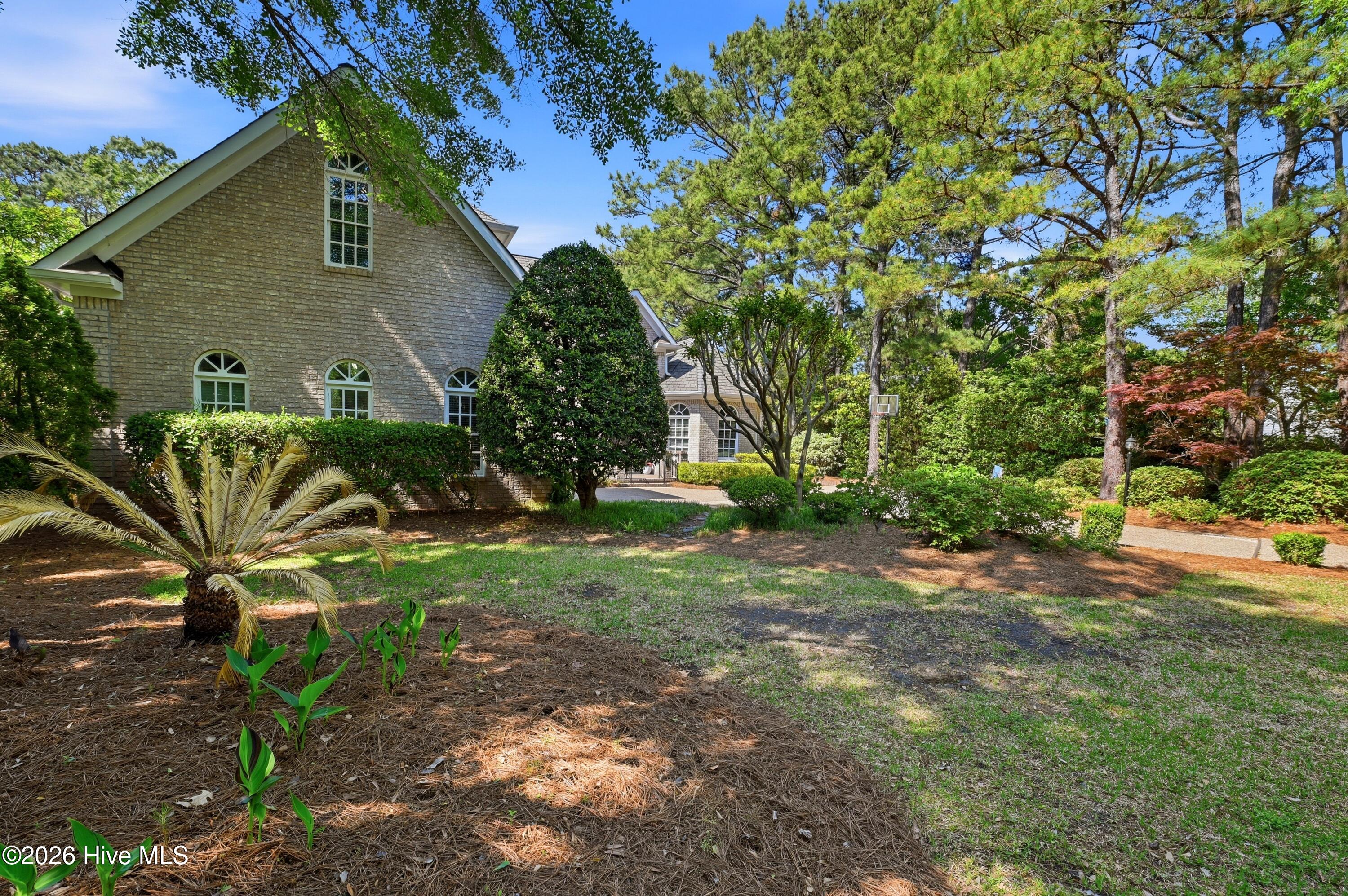 100567999 | Photo 48