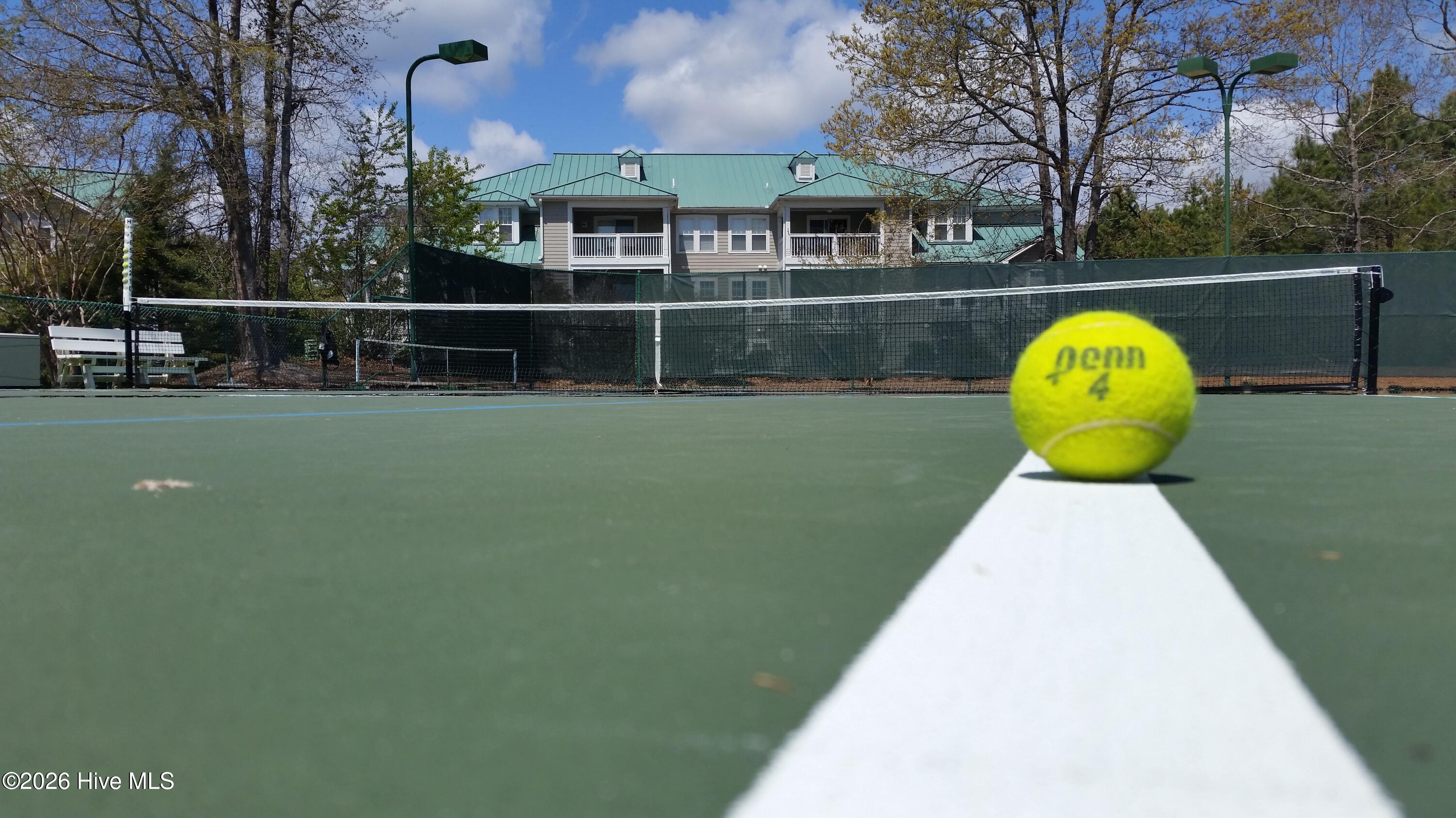 100561180 | Photo 134