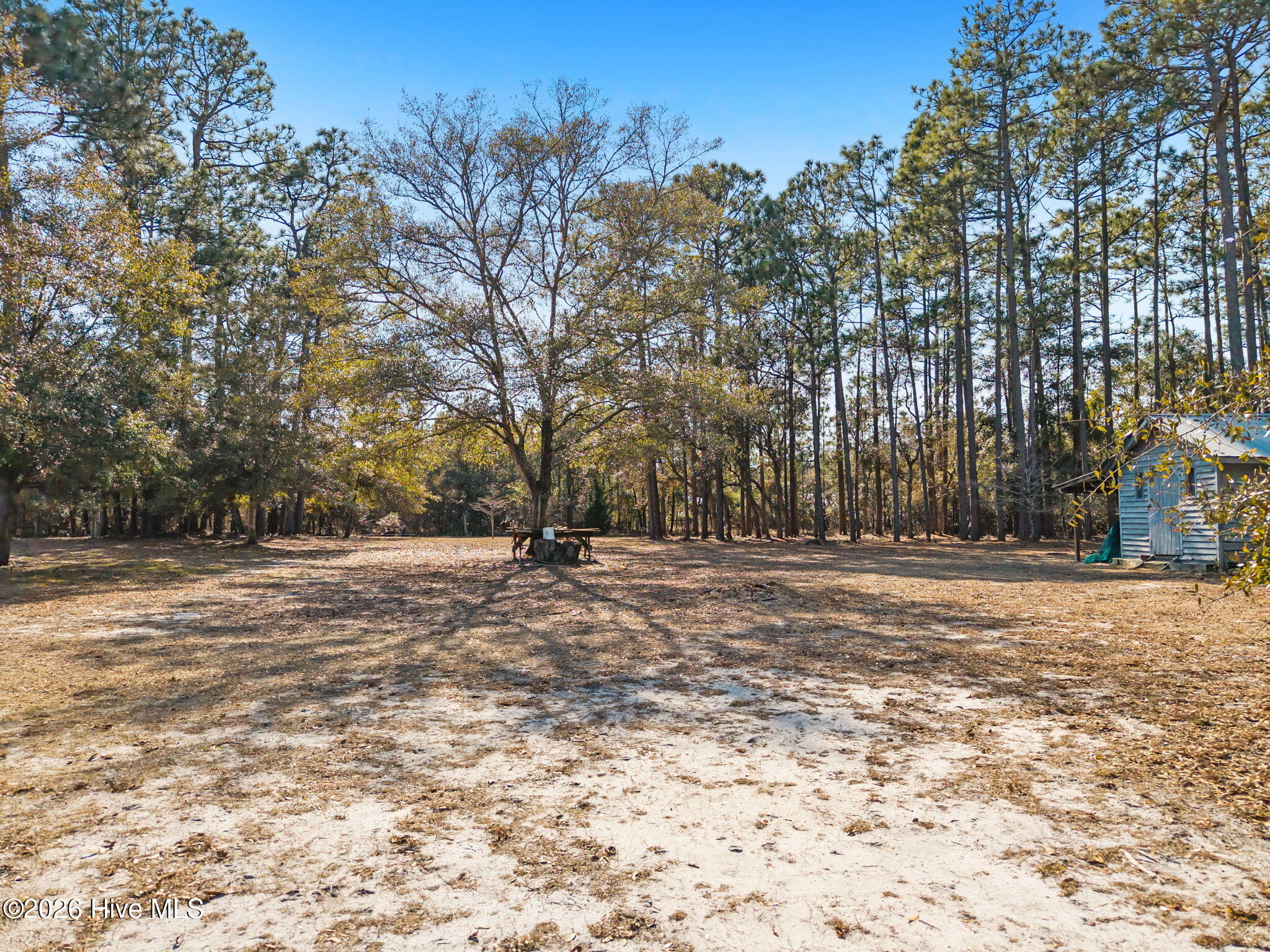 100554530 | Photo 49