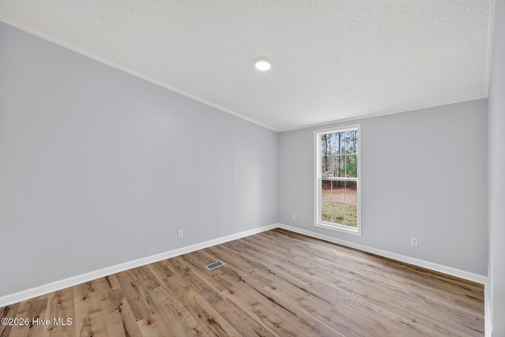 100556800 | Photo 14