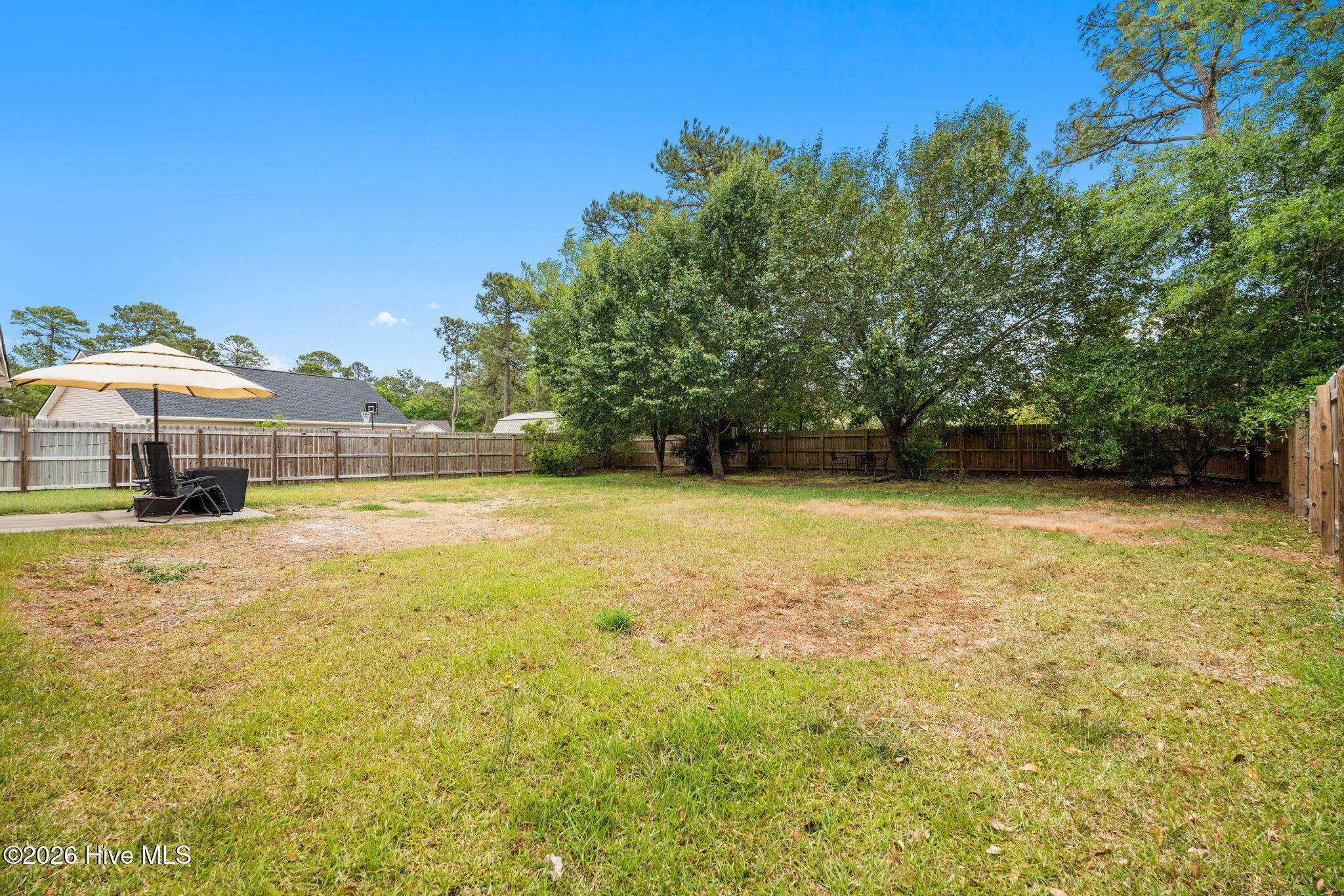 100570362 | Photo 25