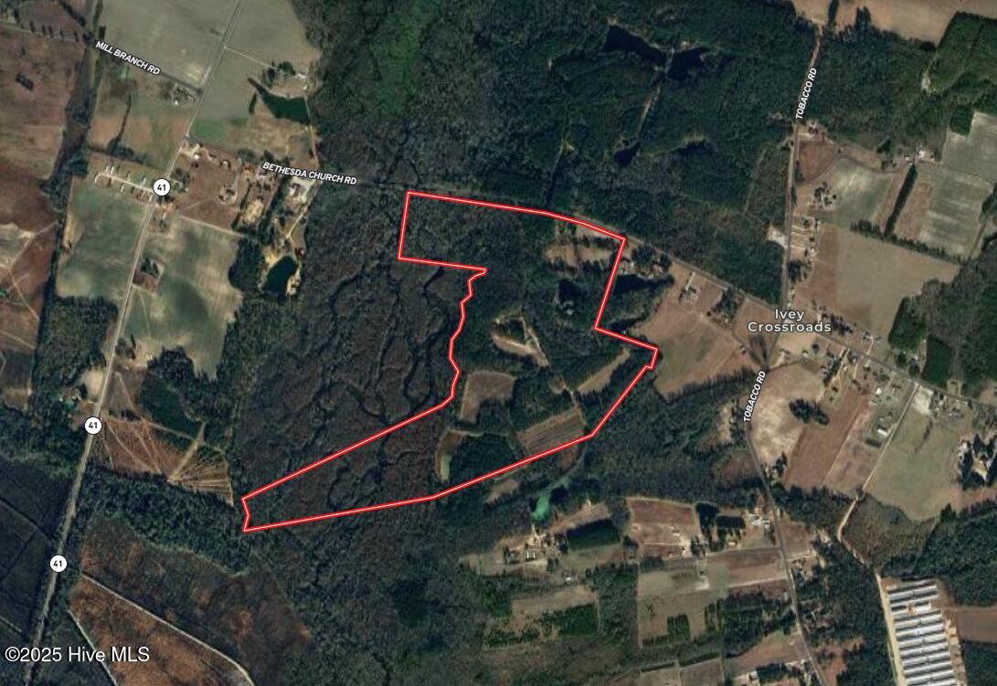 Homes for sale in Fairmont, NC | 768 Bethesda Church Rd, Fairmont, NC 28340 | MLS# 100507122