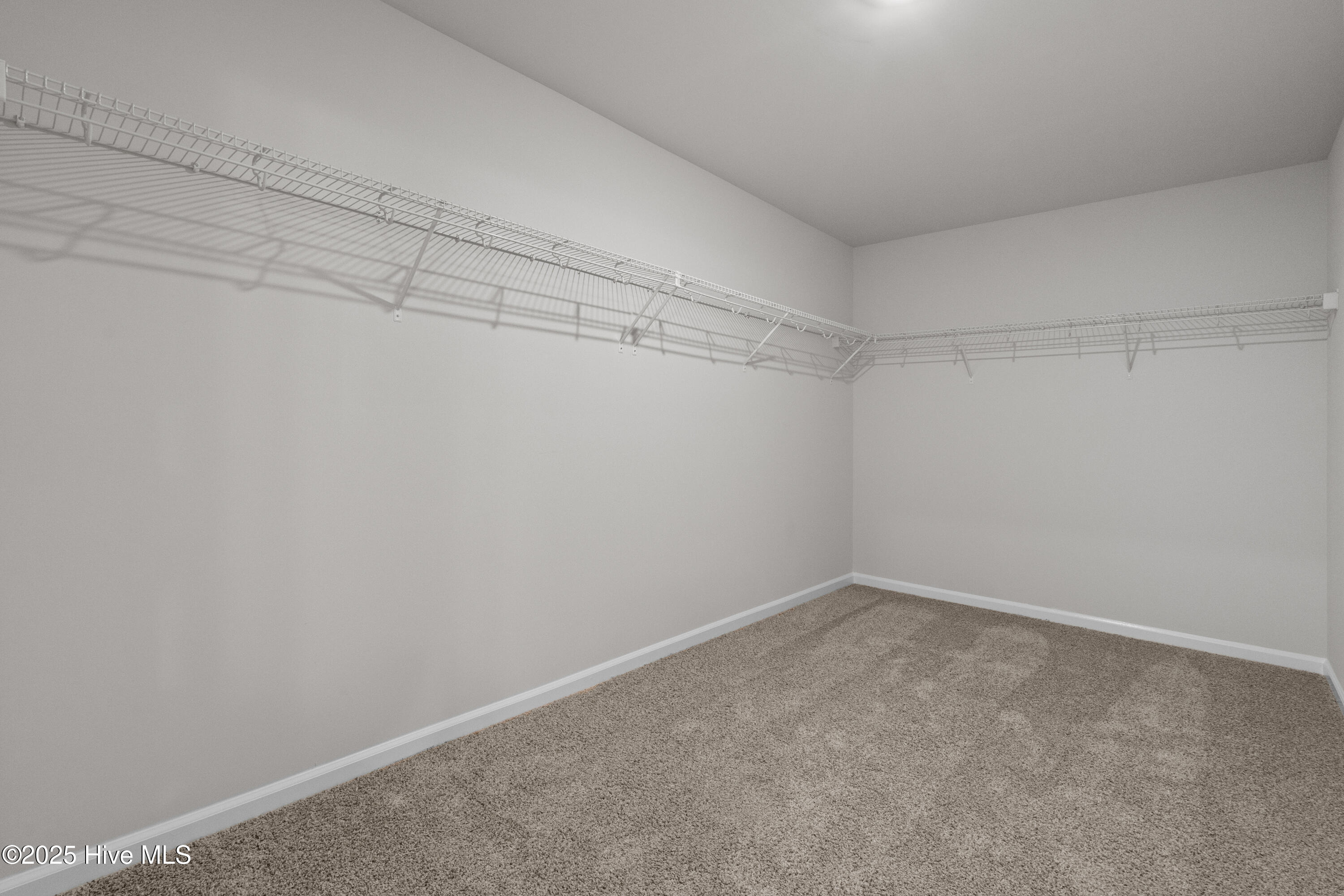 100528308 | Photo 28