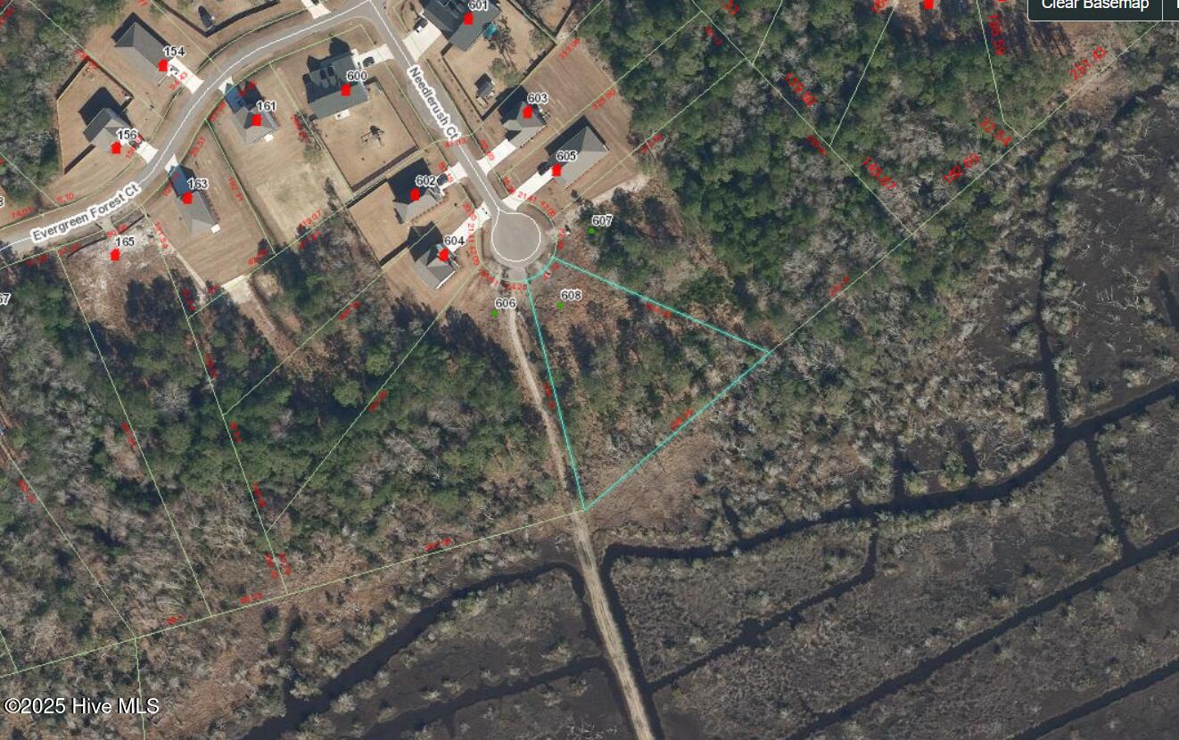 608 Needlerush Court, Sneads Ferry, NC, 28460