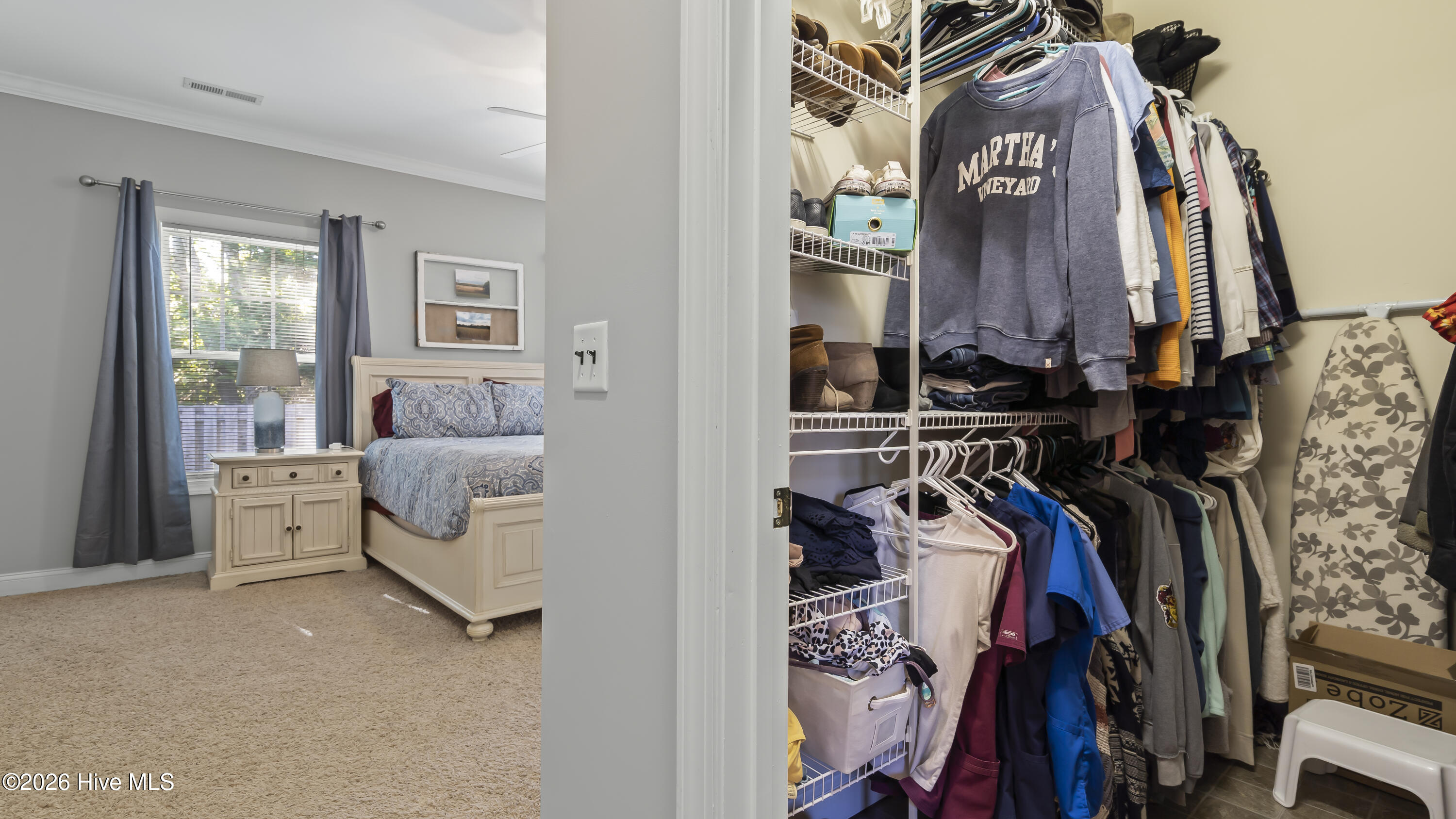 100566448 | Photo 26