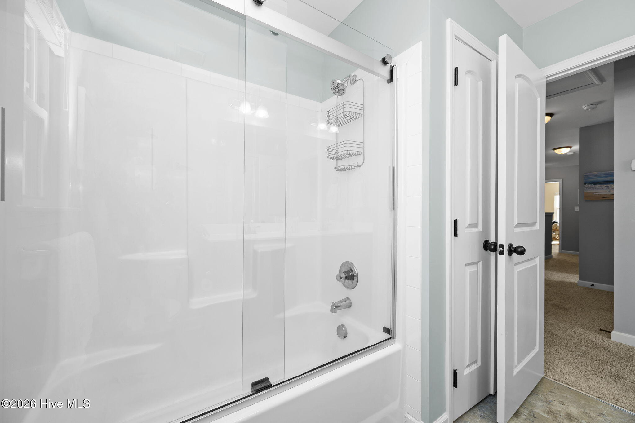 100558397 | Photo 30