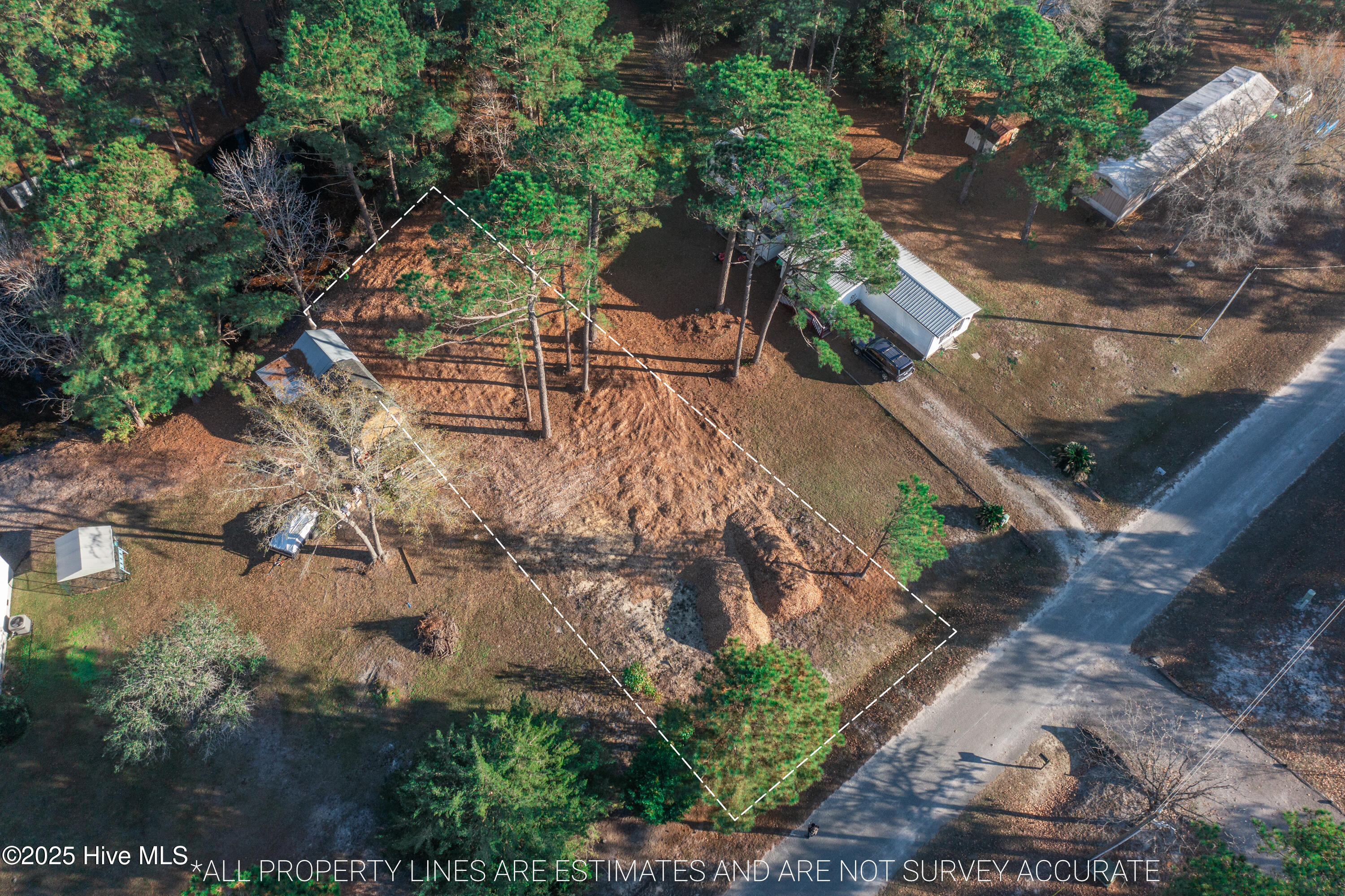 100543748 | Photo 12