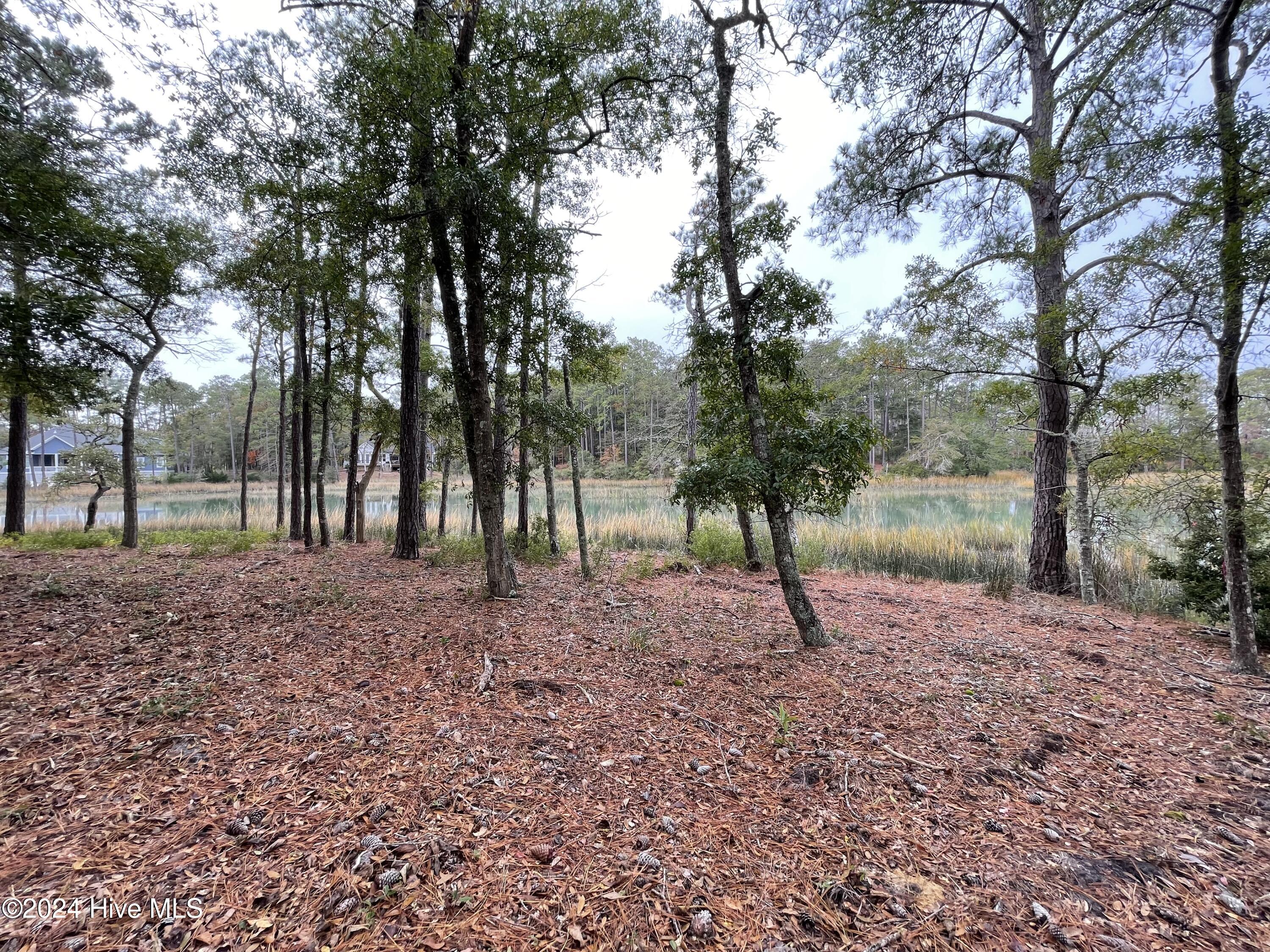 100481360 | Photo 29