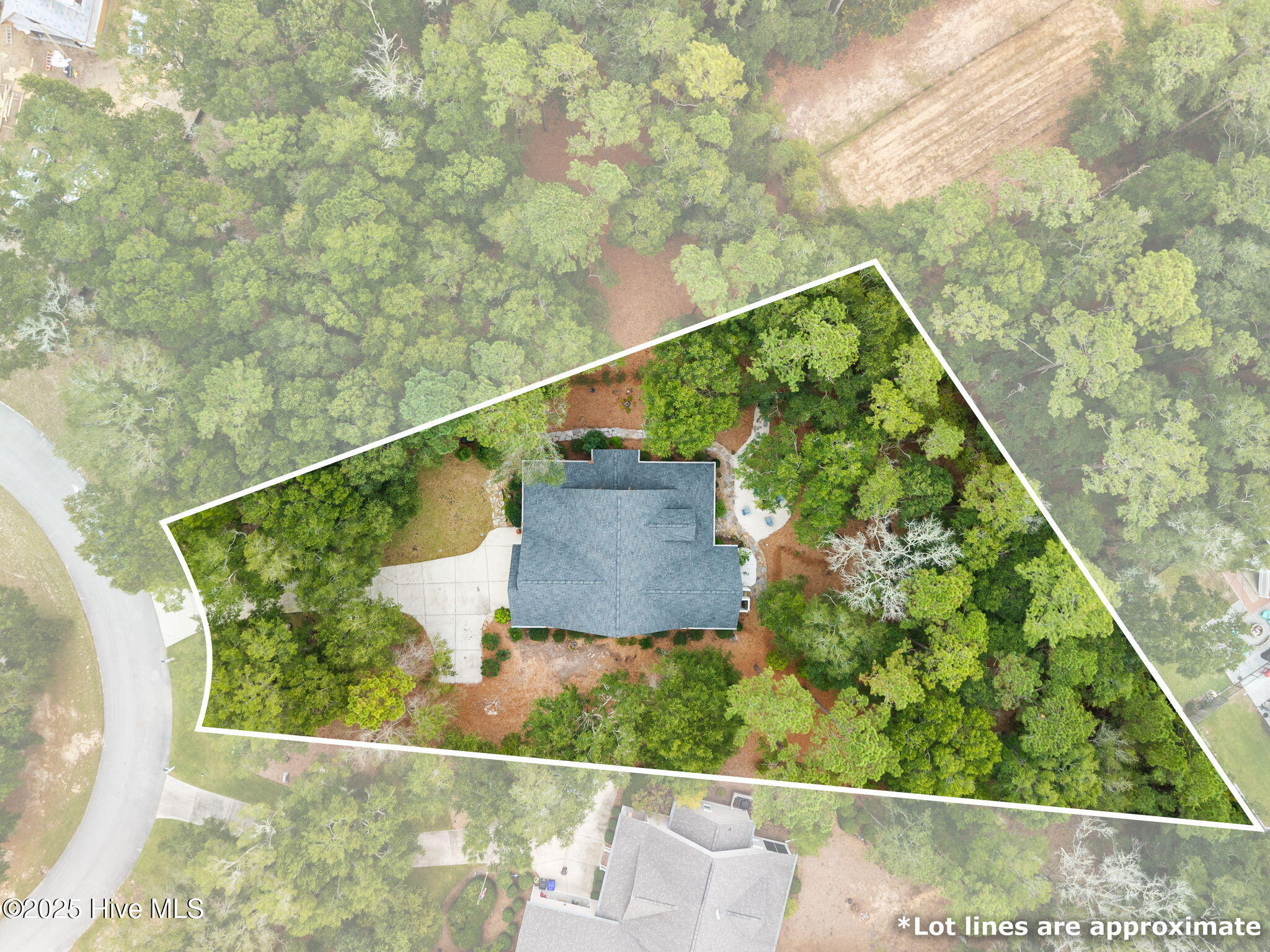 100535013 | Photo 41