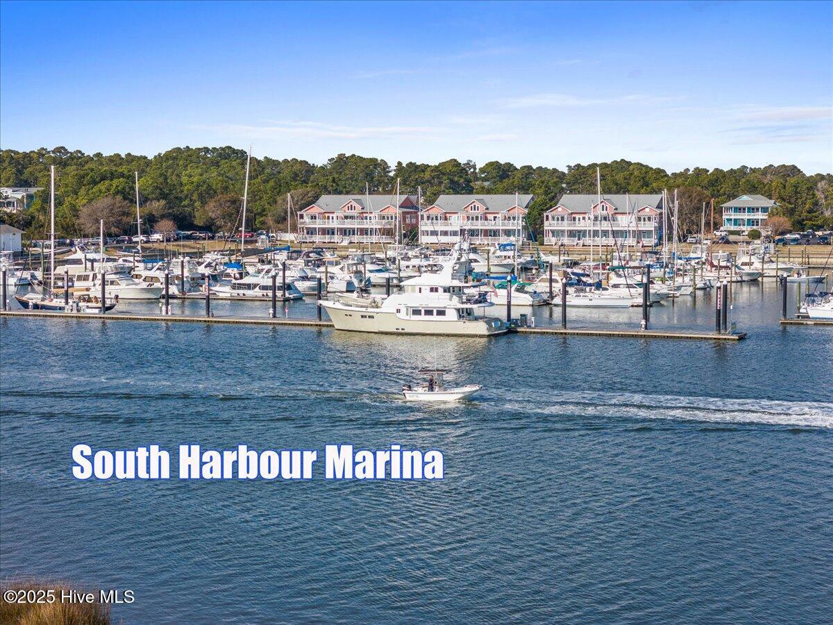 100541263 | Photo 63