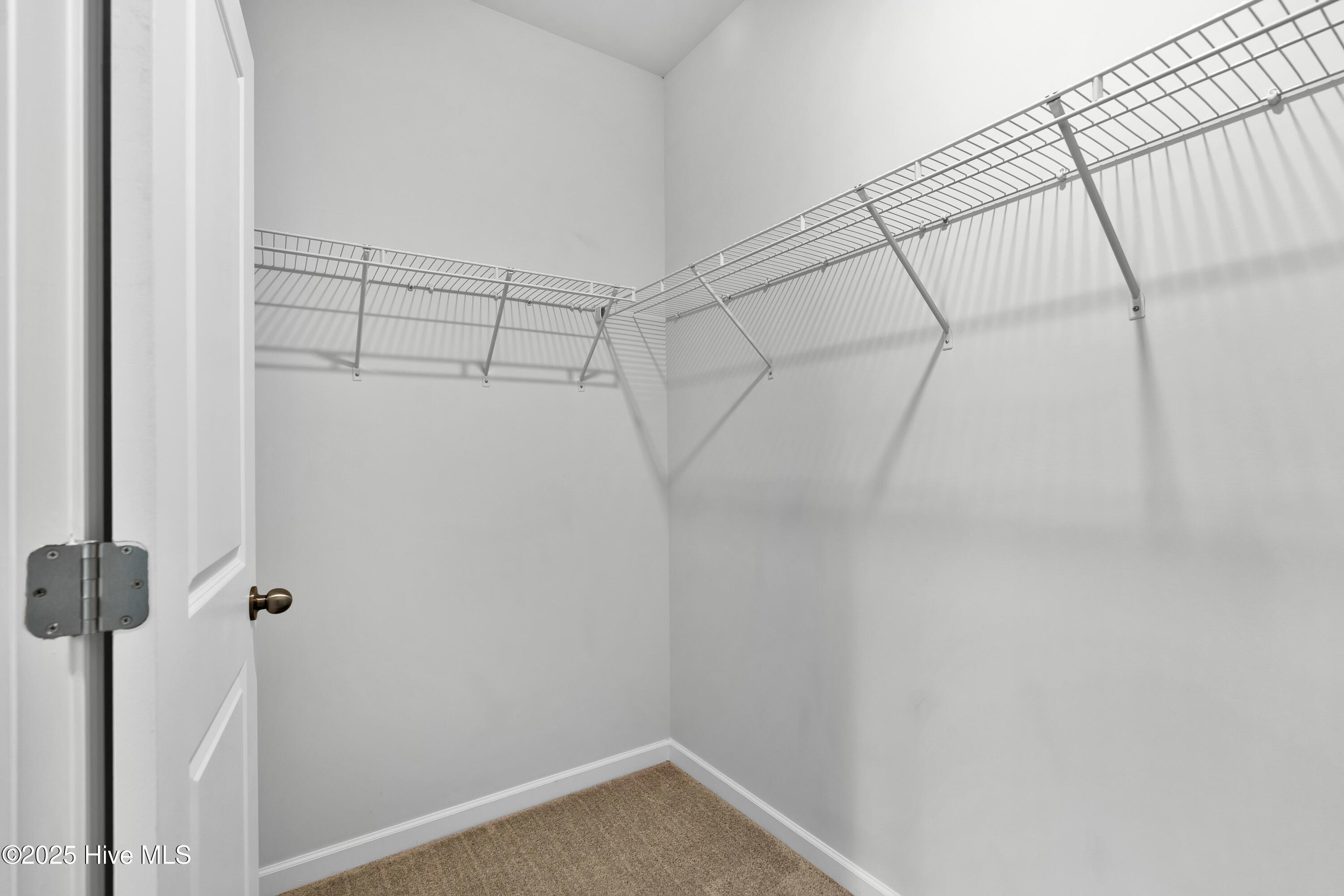 100513035 | Photo 20