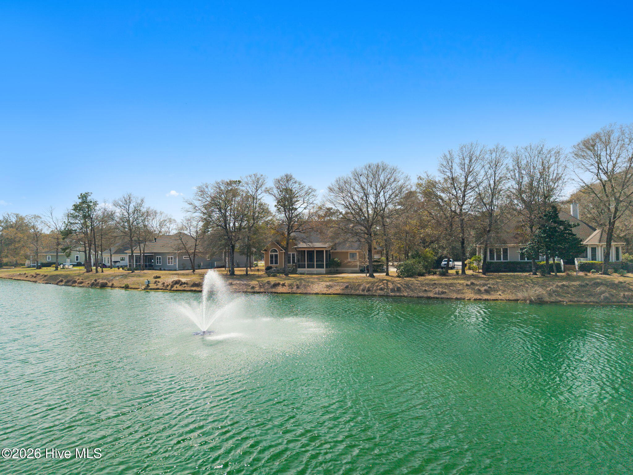 100560894 | Photo 45