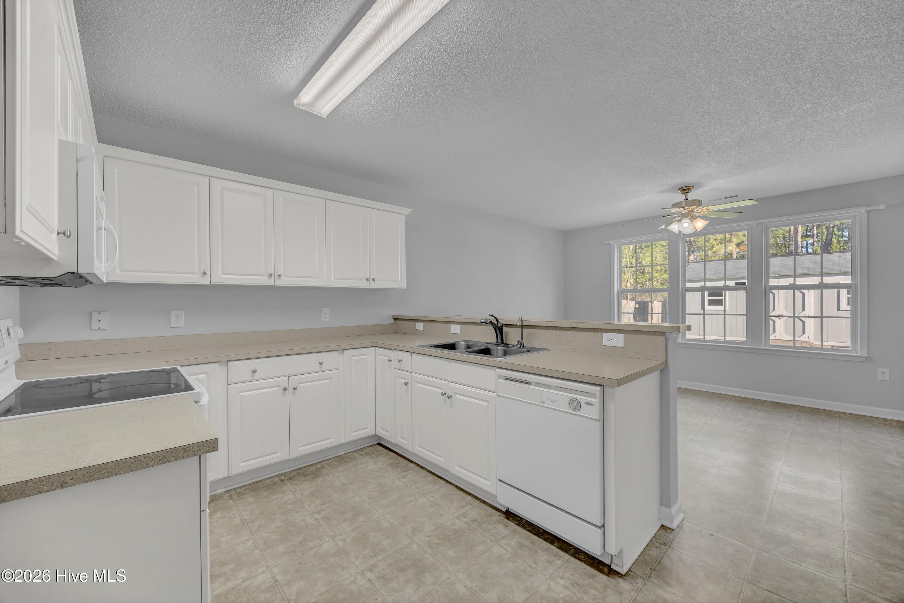 100560995 | Photo 11