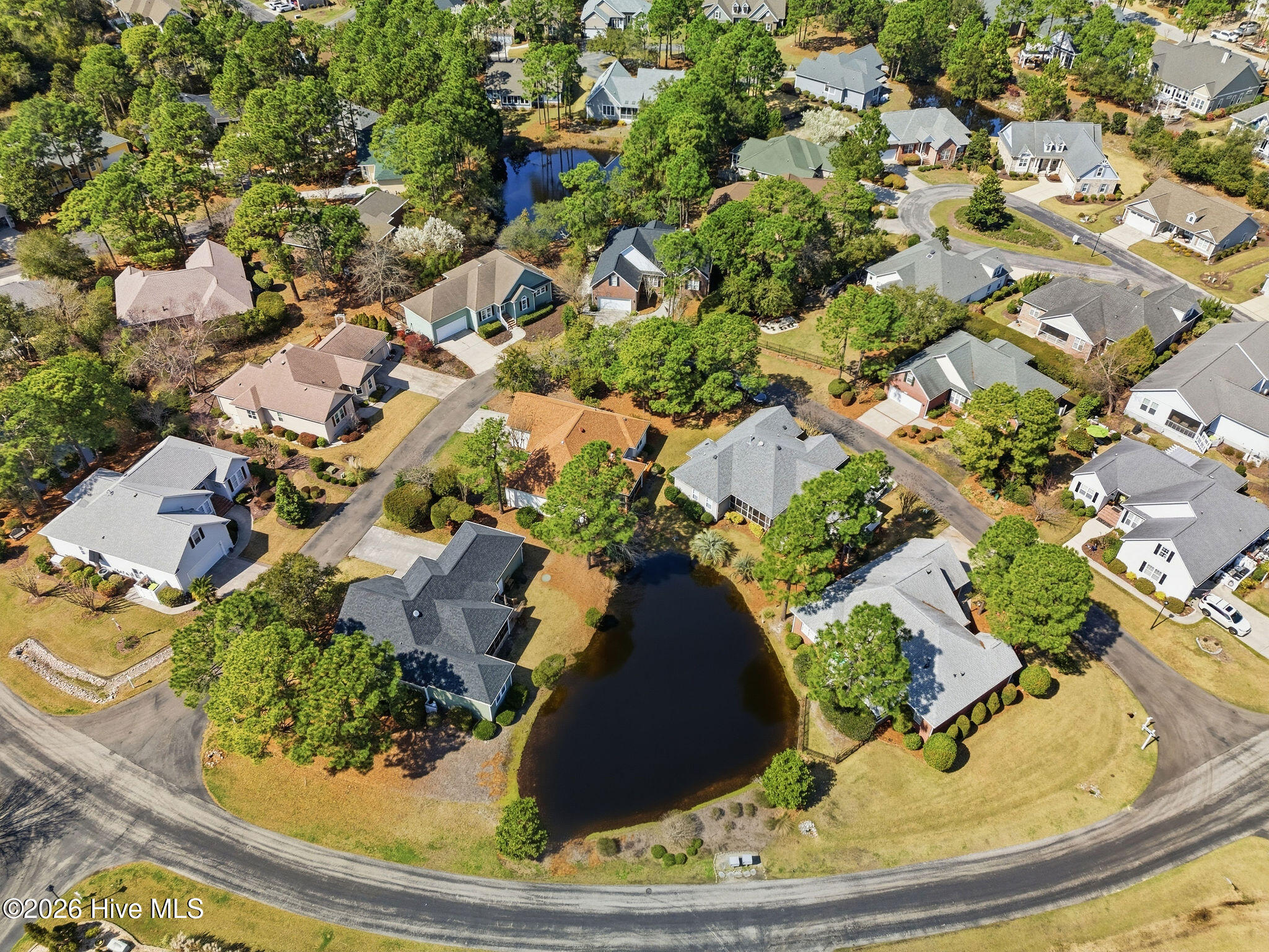 100560993 | Photo 50