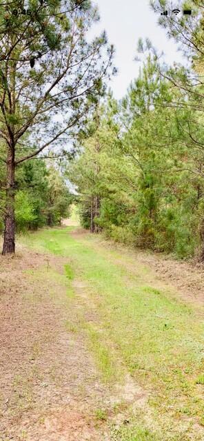 2405 HWY 88, Hephzibah, GA, 30815