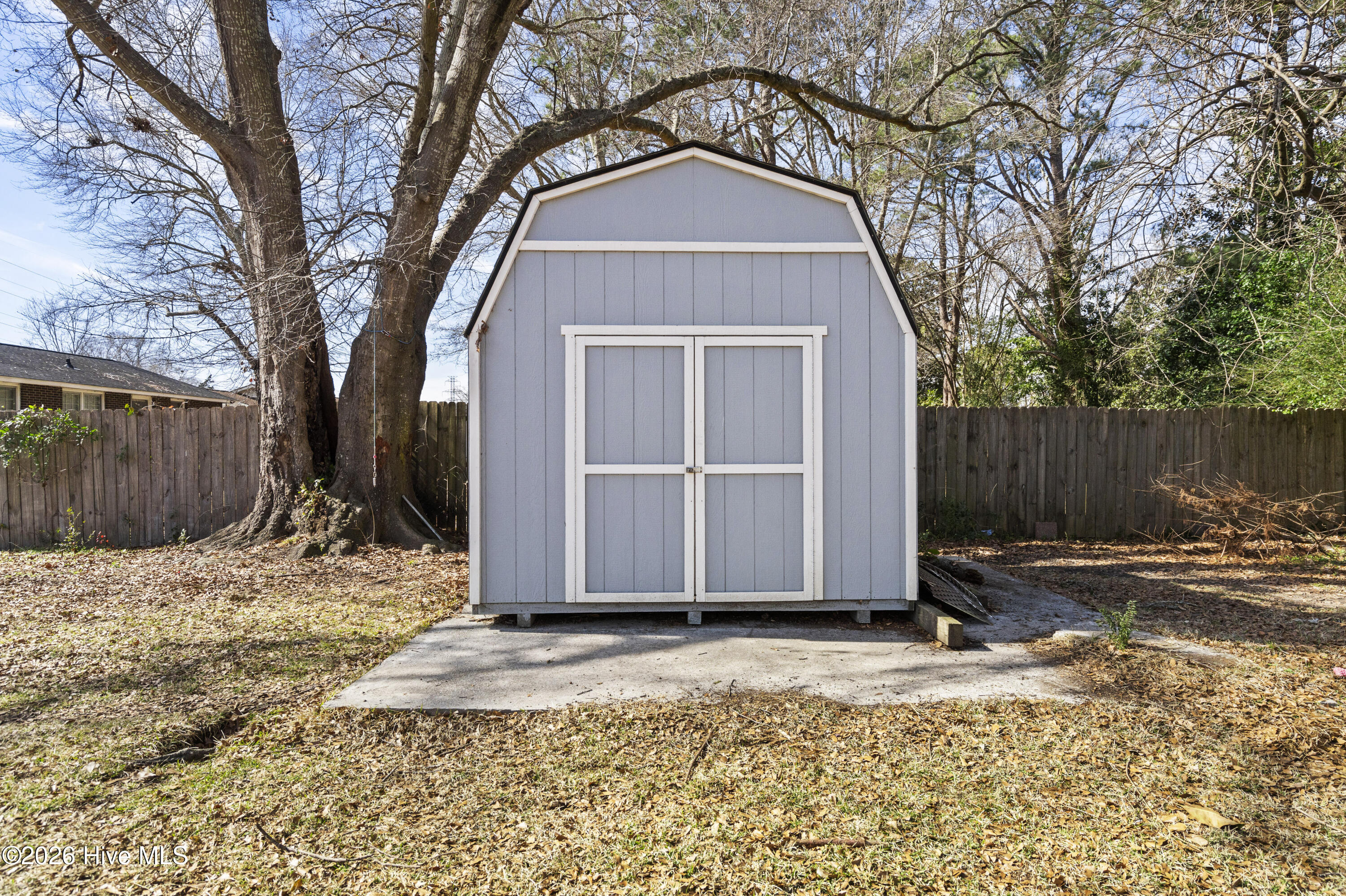 100555407 | Photo 30