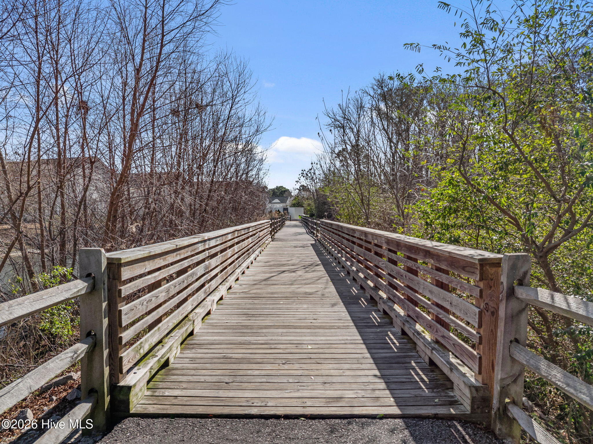 100549684 | Photo 49