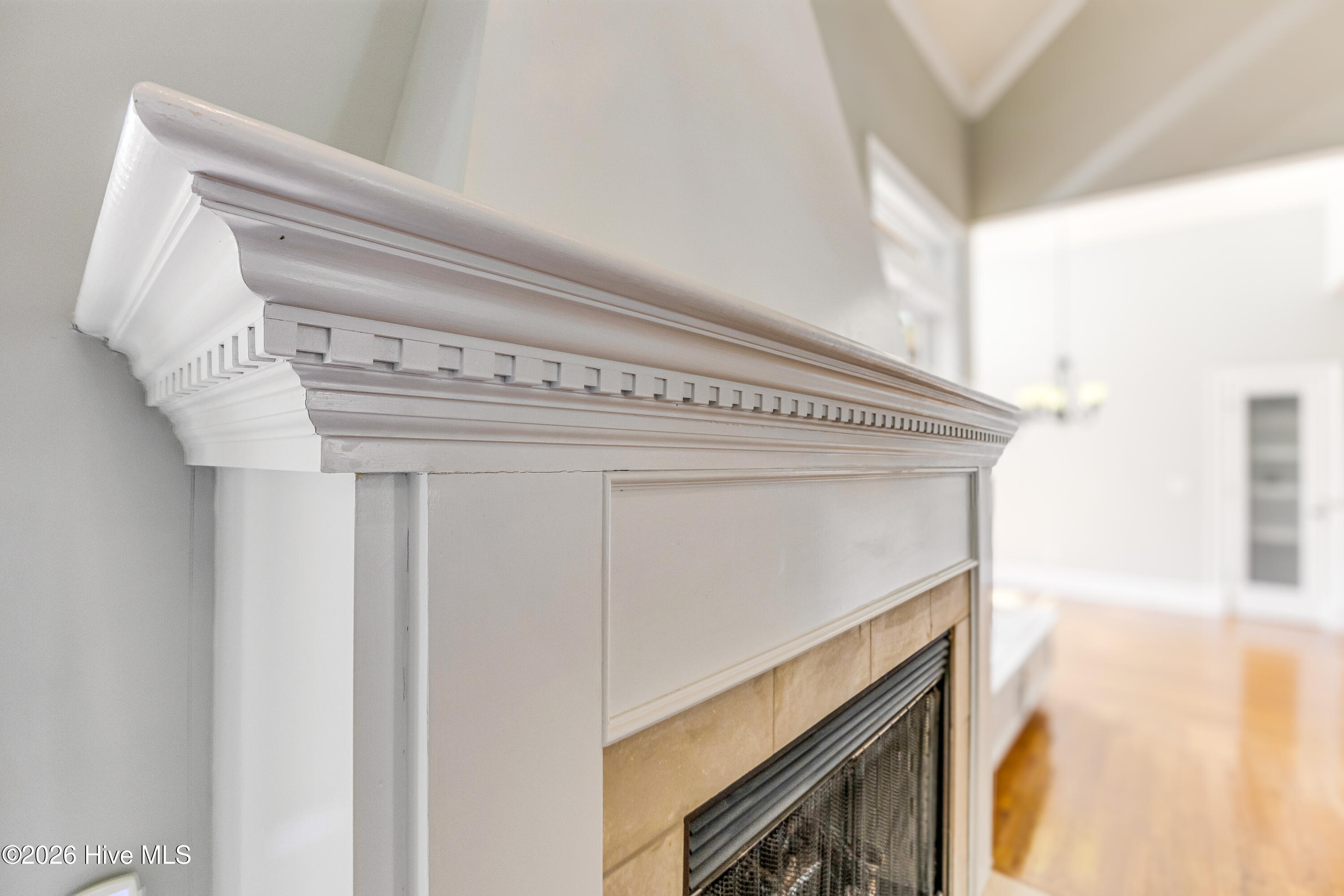 100563168 | Photo 13