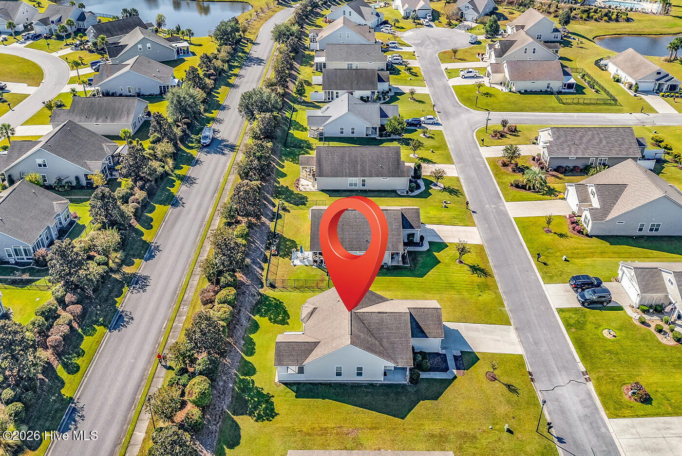 100554888 | Photo 23