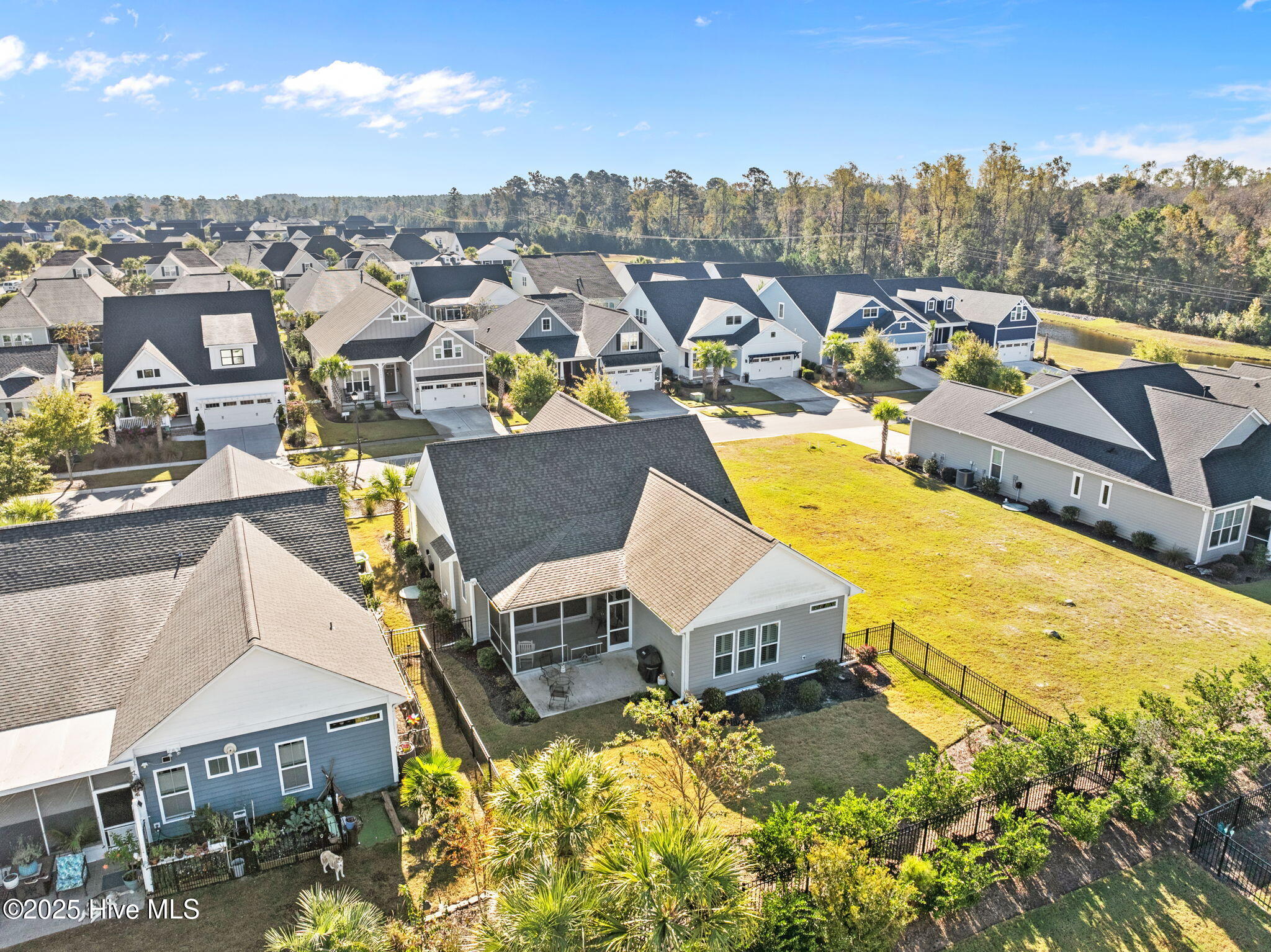 100537659 | Photo 52