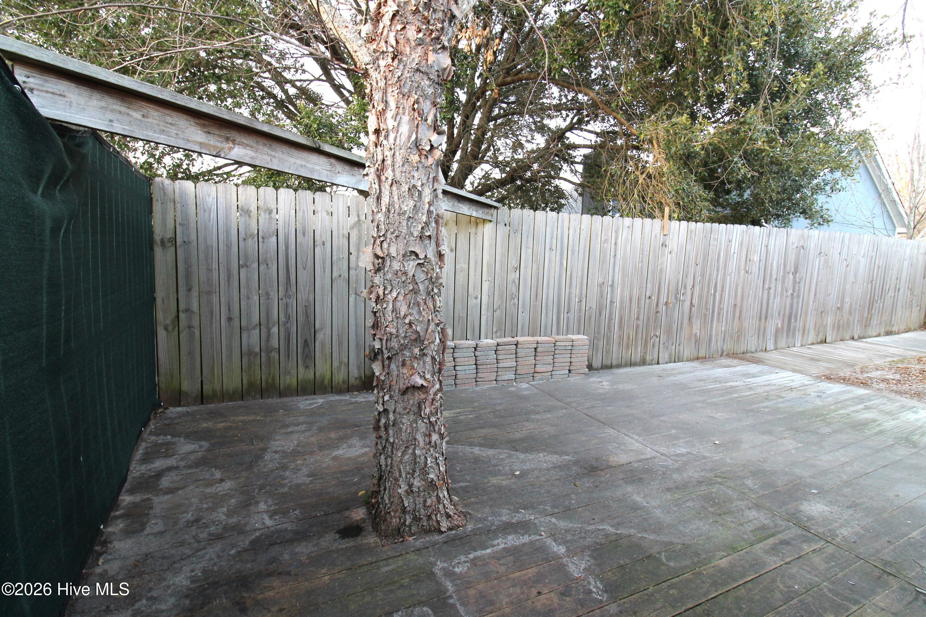 100558935 | Photo 54