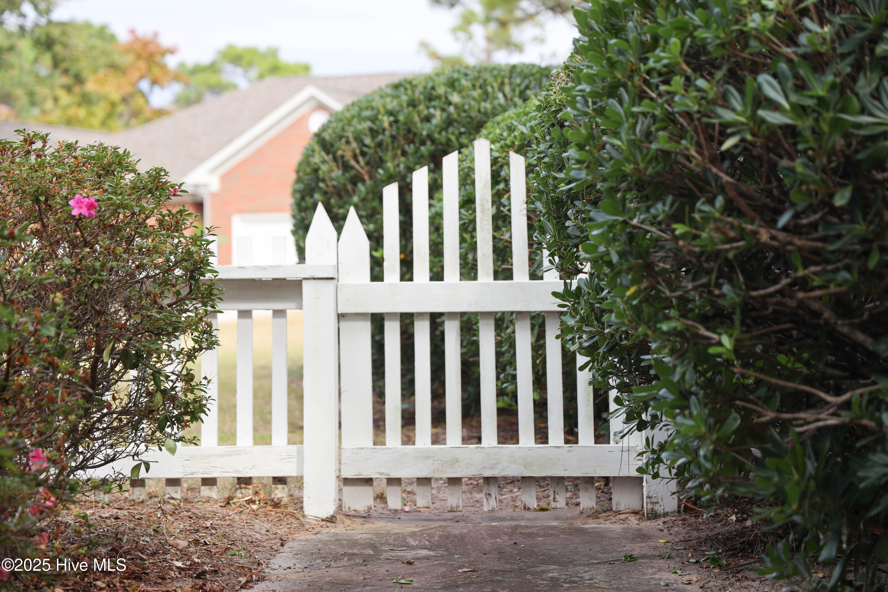 100542356 | Photo 10