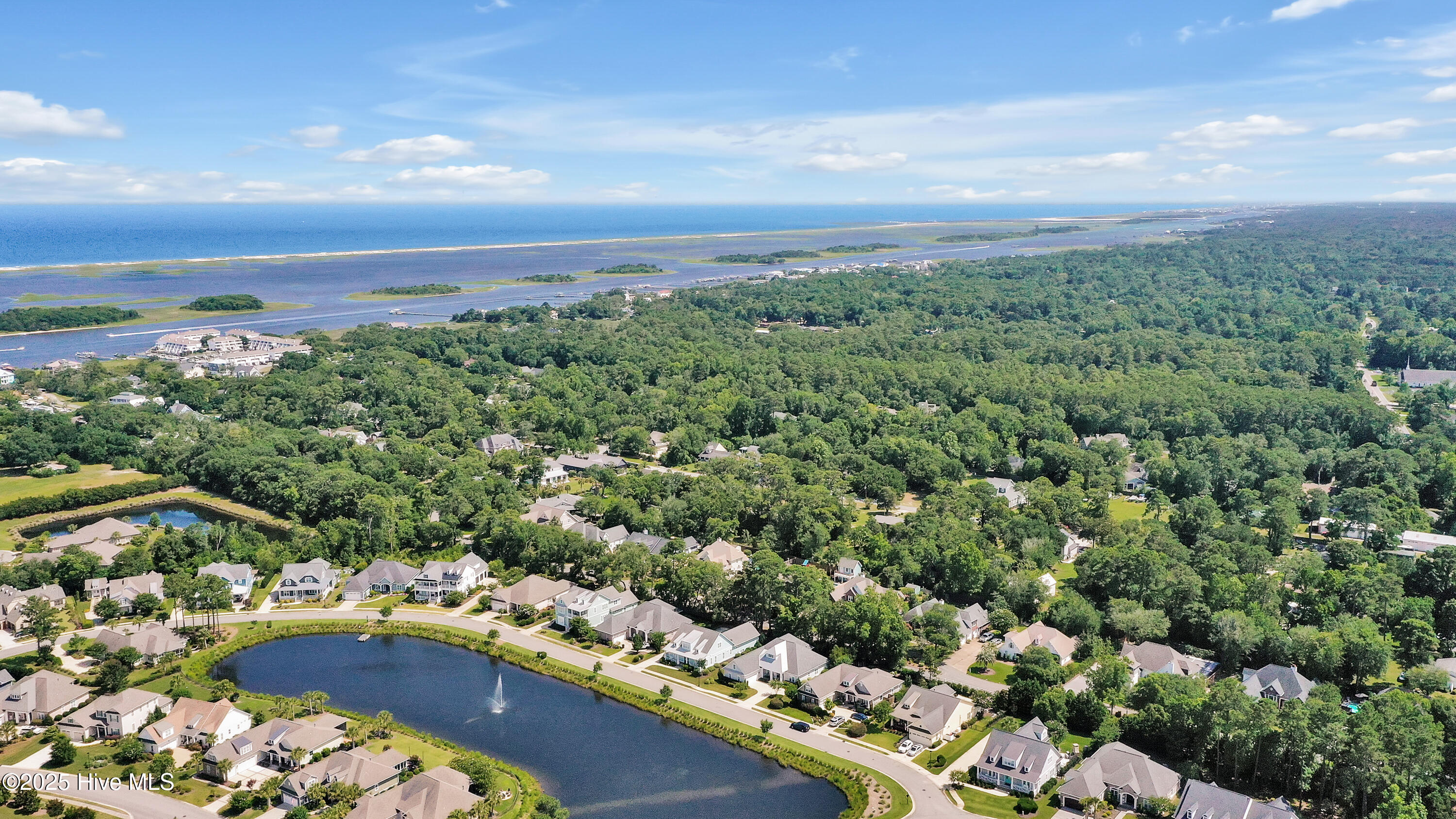 100514876 | Photo 59