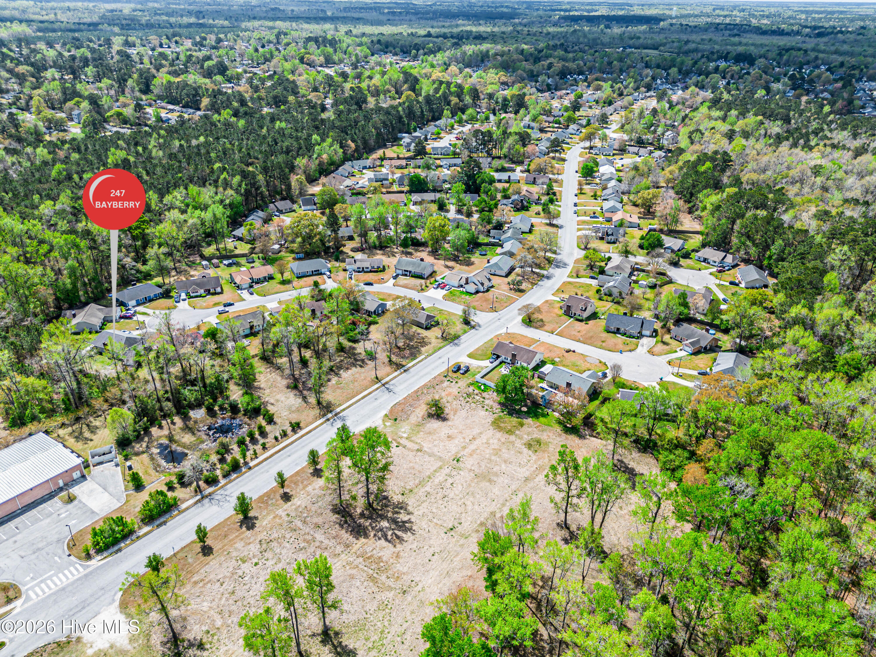 100569074 | Photo 75