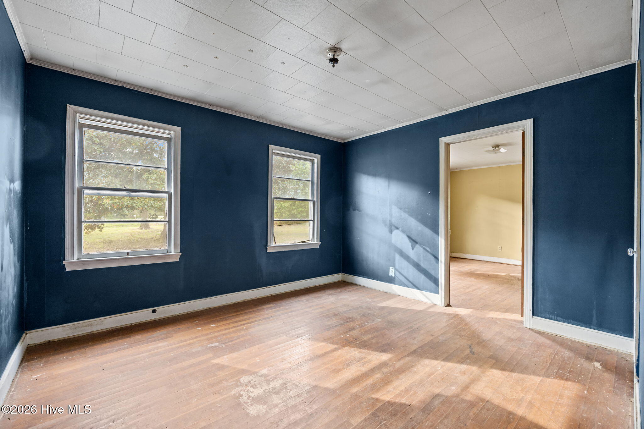 100565134 | Photo 23